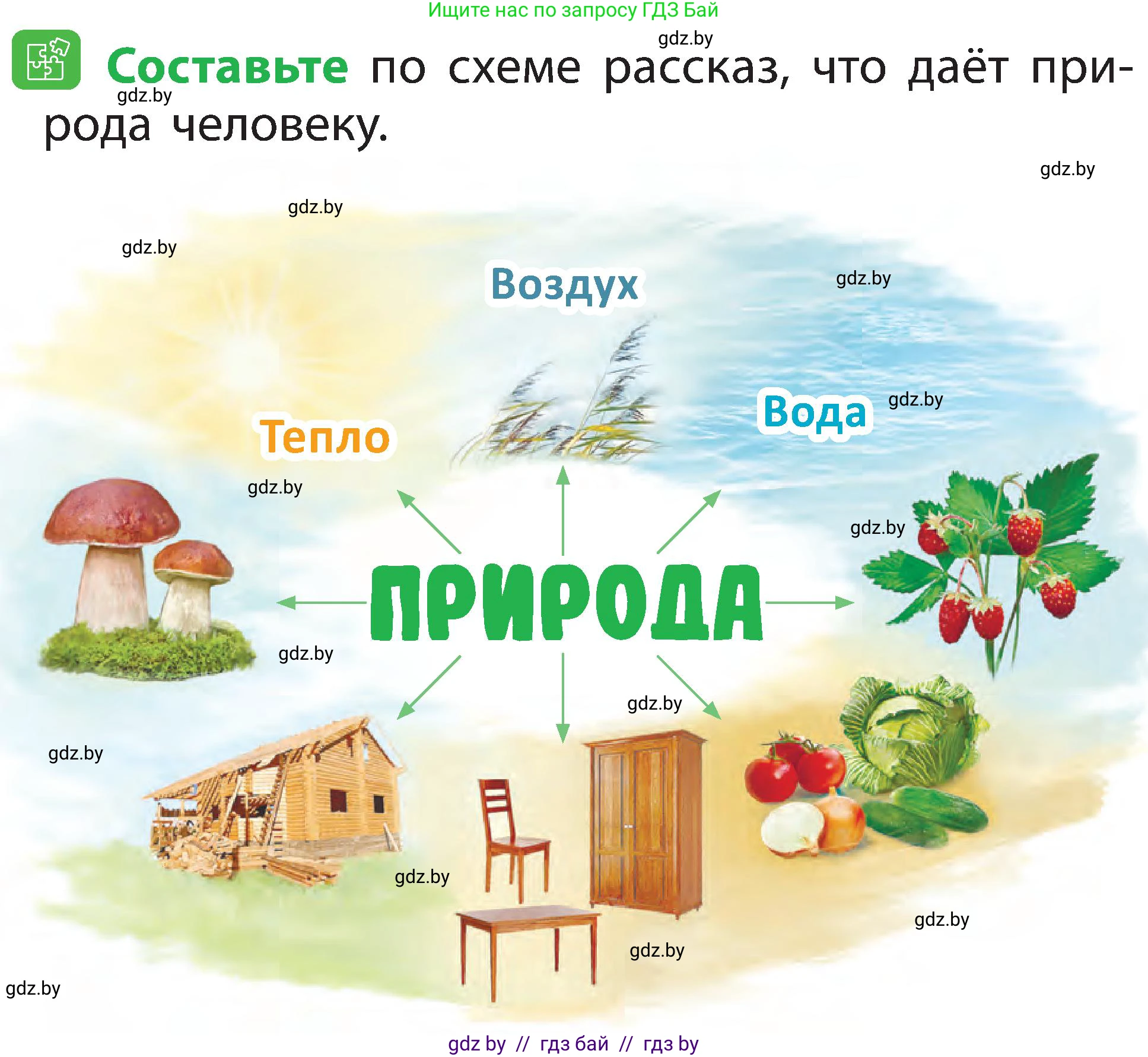 Человек и мир, 2 класс Учебник, авторы: Трафимова Галина Владимировна, Трафимов Сергей Анатольевич, издательство Академия образования, Минск, 2024, страница 8, номер 5, Условие