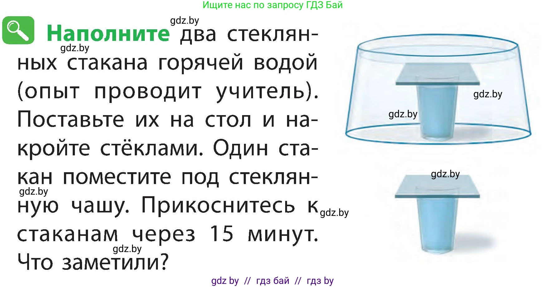 Человек и мир, 2 класс Учебник, авторы: Трафимова Галина Владимировна, Трафимов Сергей Анатольевич, издательство Академия образования, Минск, 2024, страница 13, номер 5, Условие