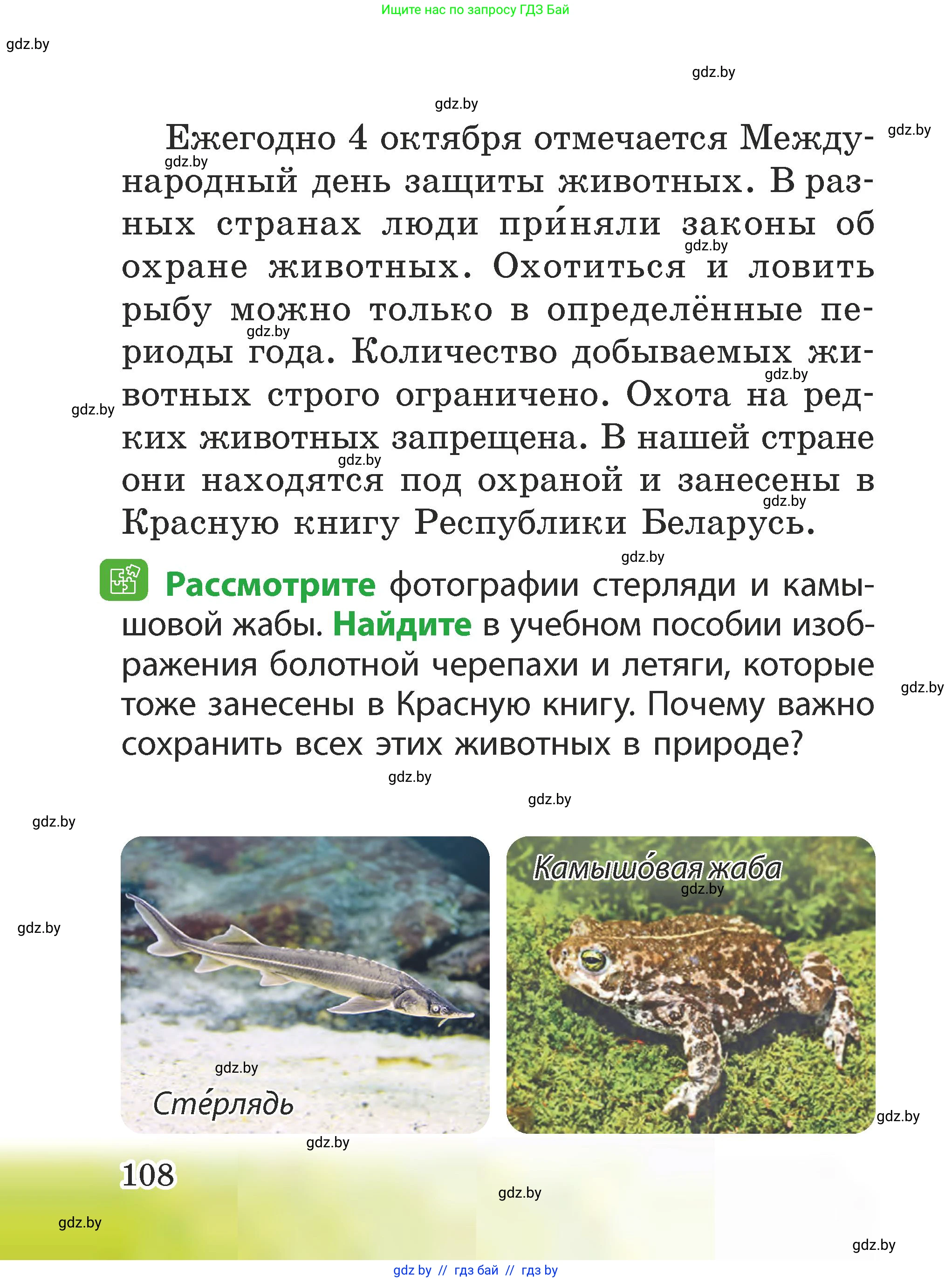 Человек и мир, 2 класс Учебник, авторы: Трафимова Галина Владимировна, Трафимов Сергей Анатольевич, издательство Академия образования, Минск, 2024, страница 108