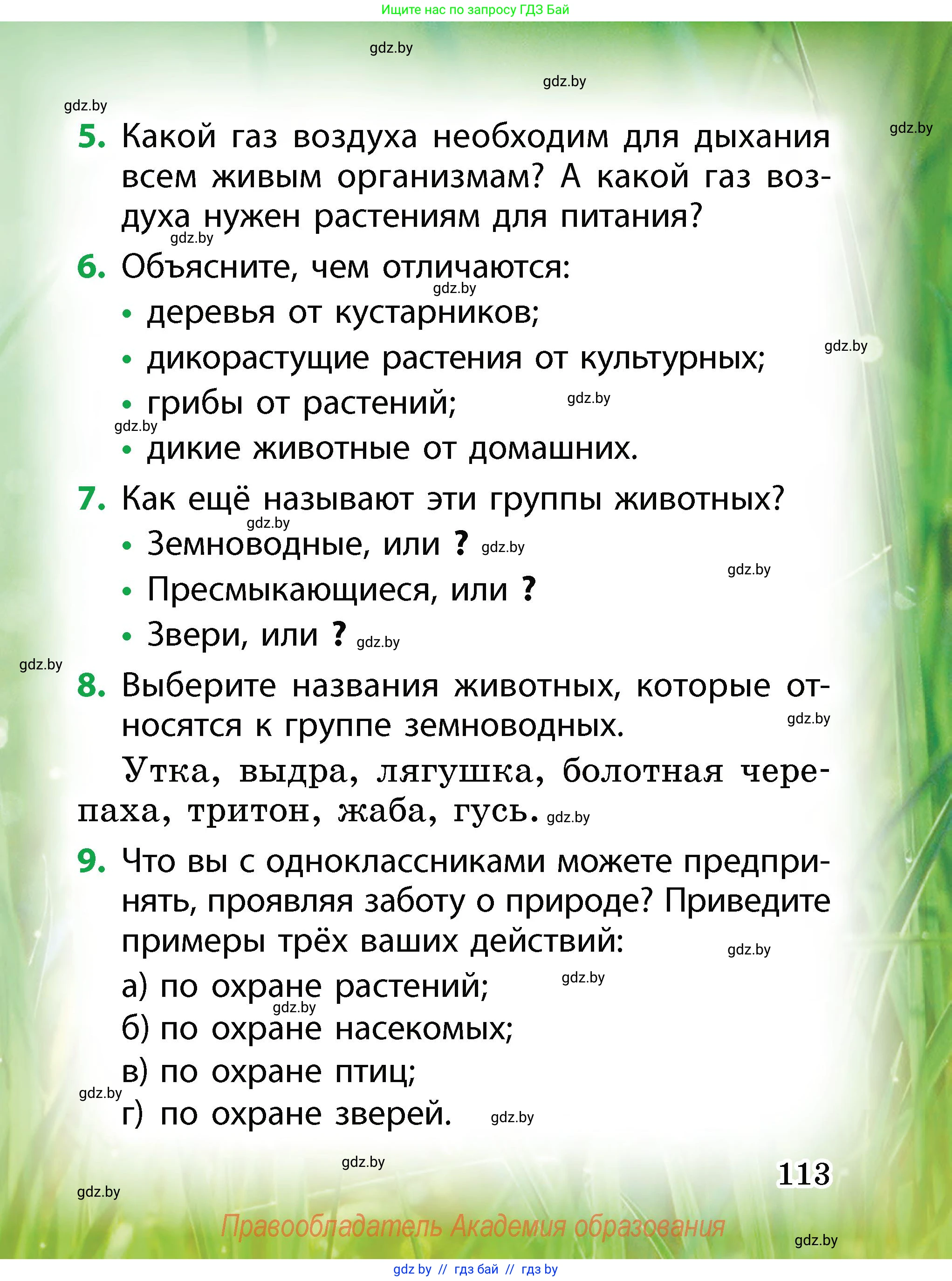 Человек и мир, 2 класс Учебник, авторы: Трафимова Галина Владимировна, Трафимов Сергей Анатольевич, издательство Академия образования, Минск, 2024, страница 113