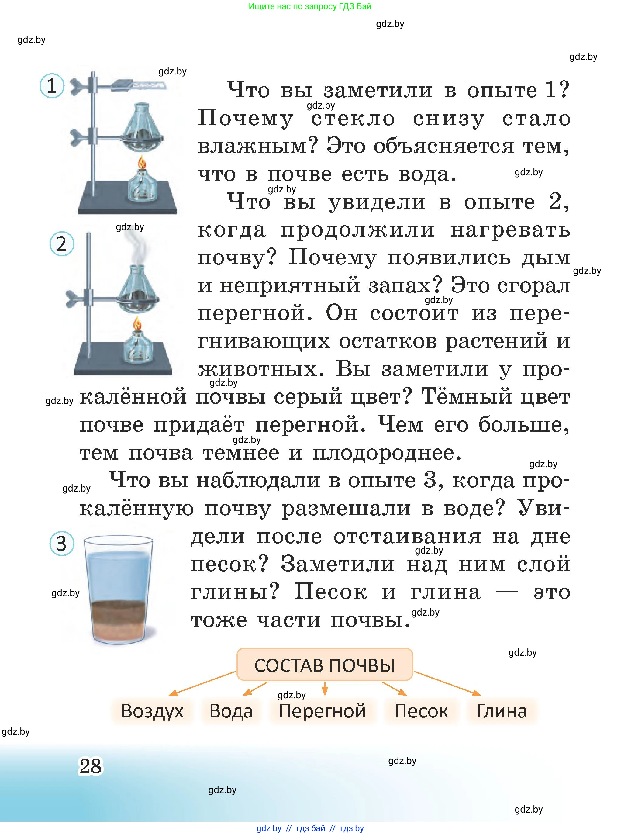 Человек и мир, 2 класс Учебник, авторы: Трафимова Галина Владимировна, Трафимов Сергей Анатольевич, издательство Академия образования, Минск, 2024, страница 28