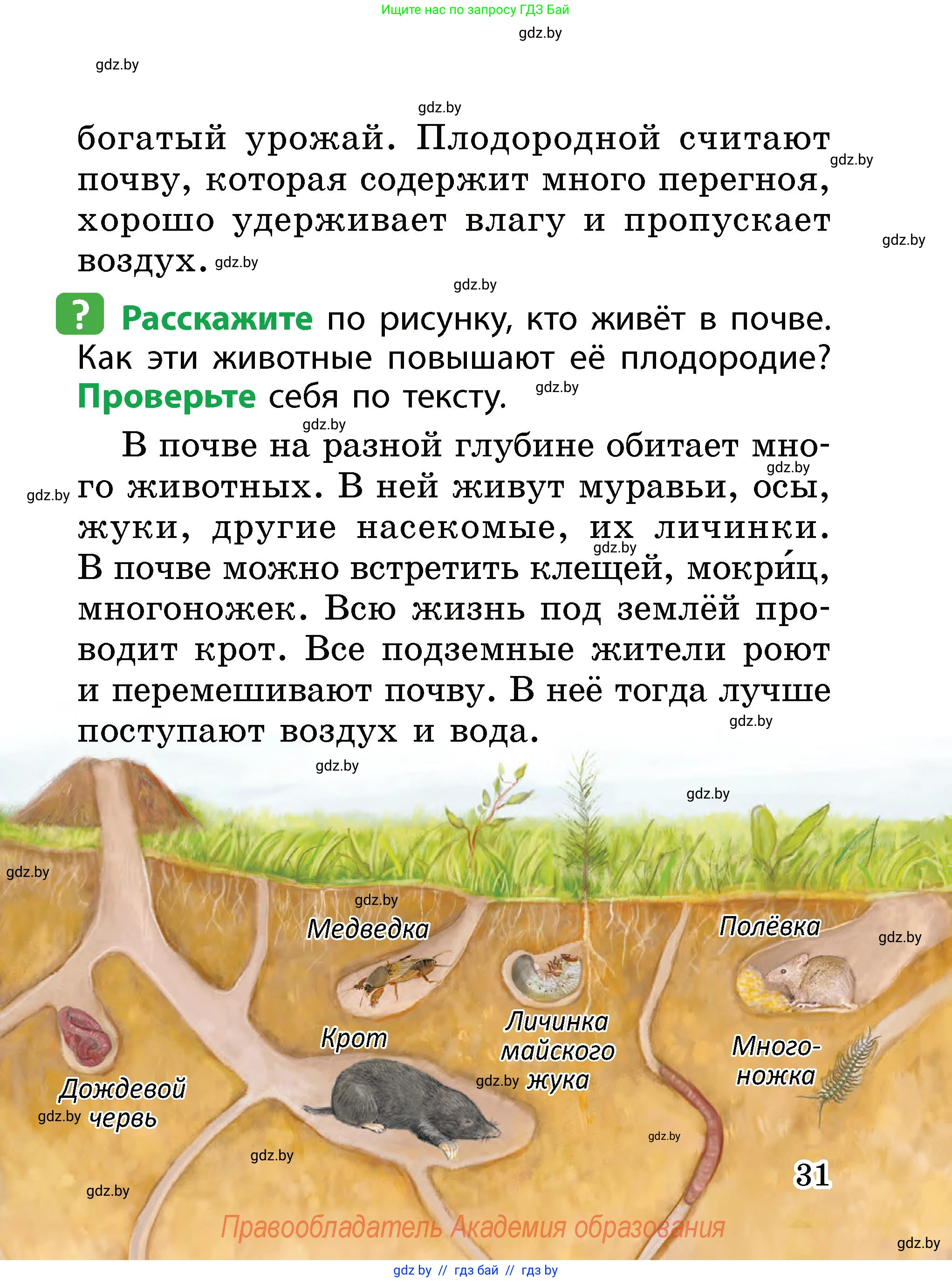 Человек и мир, 2 класс Учебник, авторы: Трафимова Галина Владимировна, Трафимов Сергей Анатольевич, издательство Академия образования, Минск, 2024, страница 31