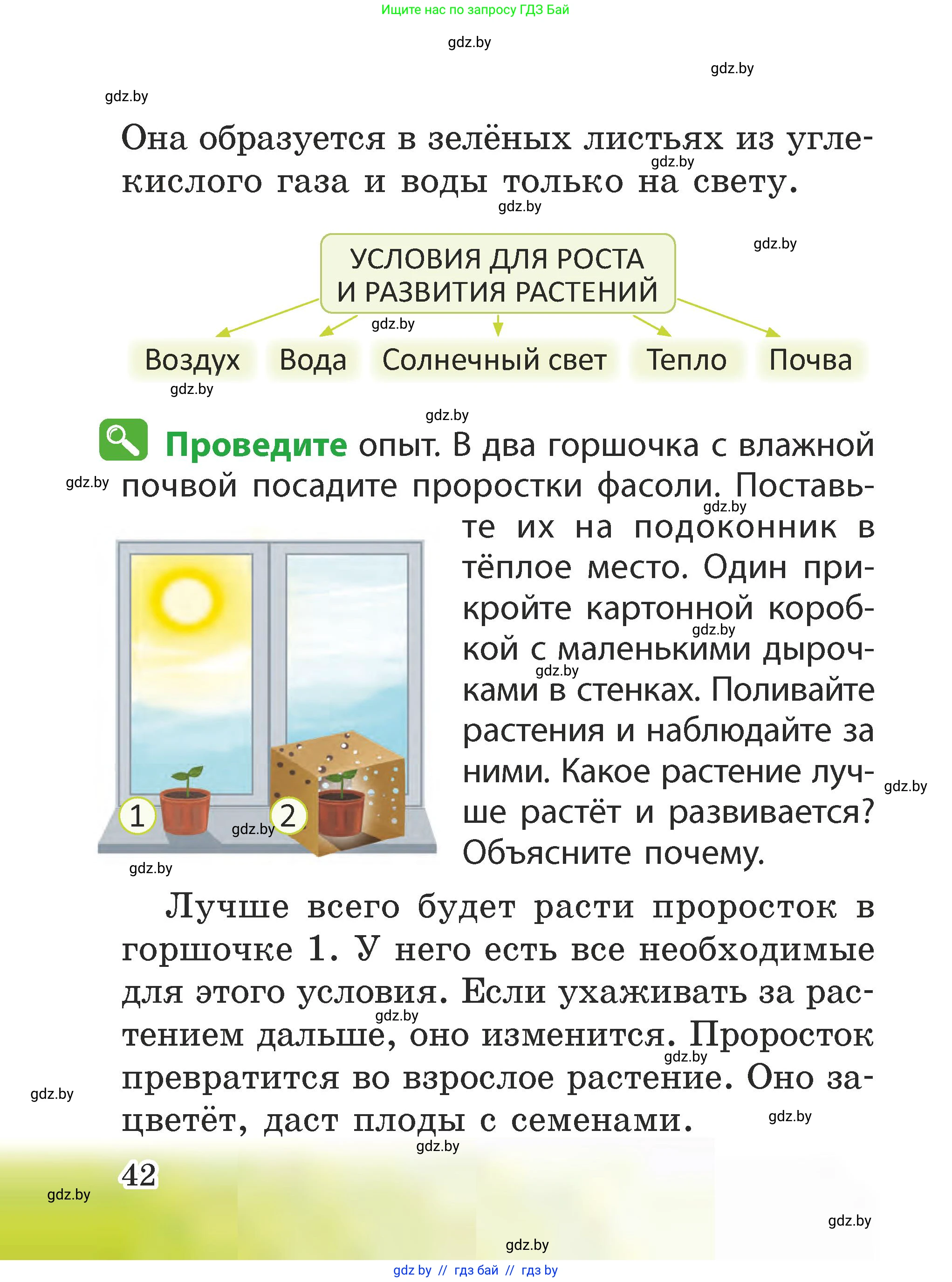 Человек и мир, 2 класс Учебник, авторы: Трафимова Галина Владимировна, Трафимов Сергей Анатольевич, издательство Академия образования, Минск, 2024, страница 42