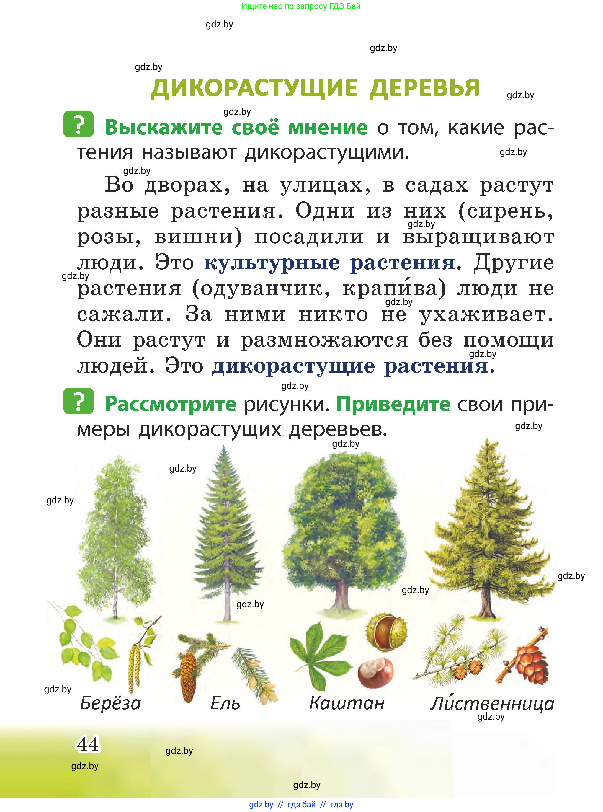 Человек и мир, 2 класс Учебник, авторы: Трафимова Галина Владимировна, Трафимов Сергей Анатольевич, издательство Академия образования, Минск, 2024, страница 44