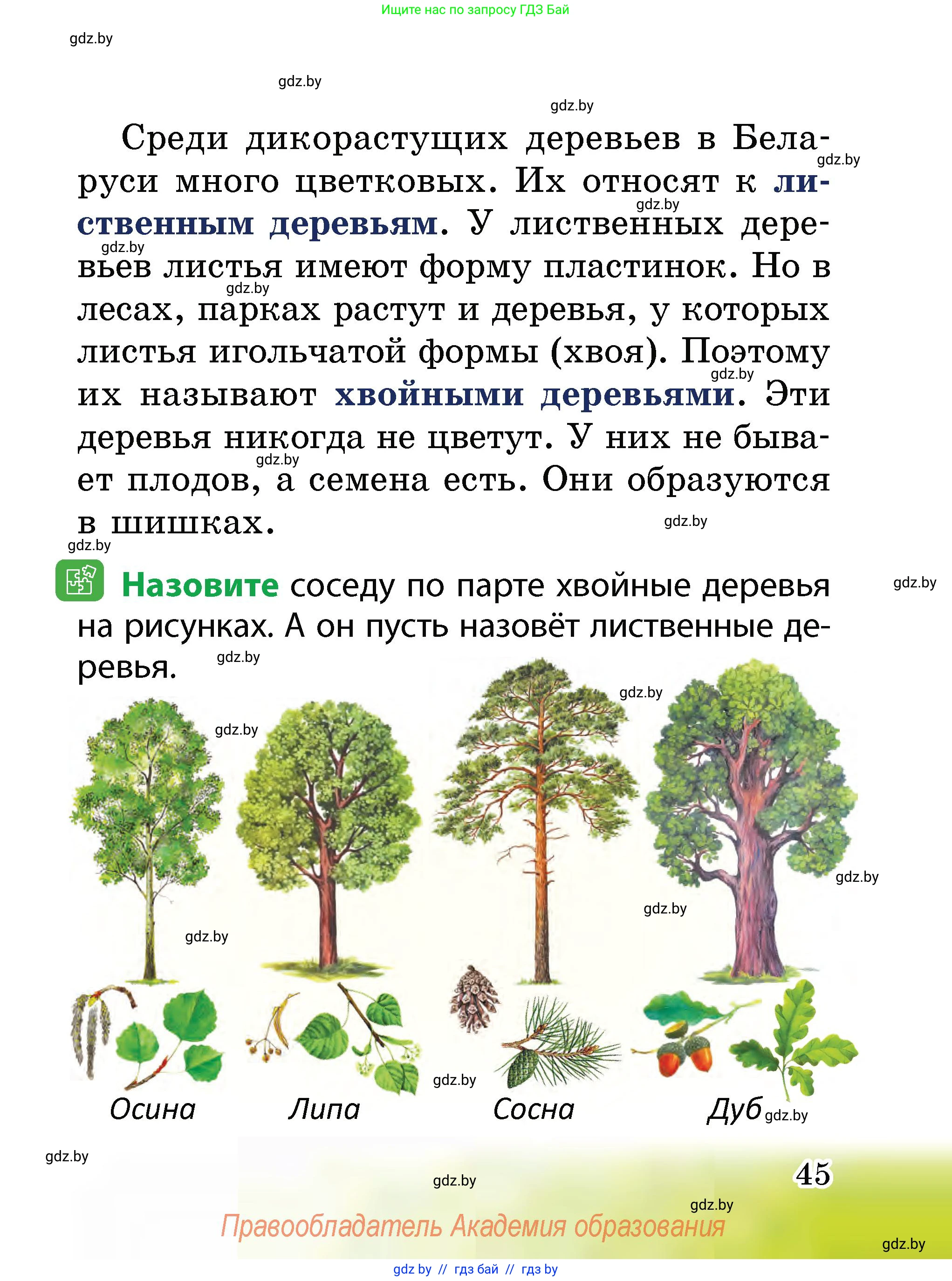 Человек и мир, 2 класс Учебник, авторы: Трафимова Галина Владимировна, Трафимов Сергей Анатольевич, издательство Академия образования, Минск, 2024, страница 45