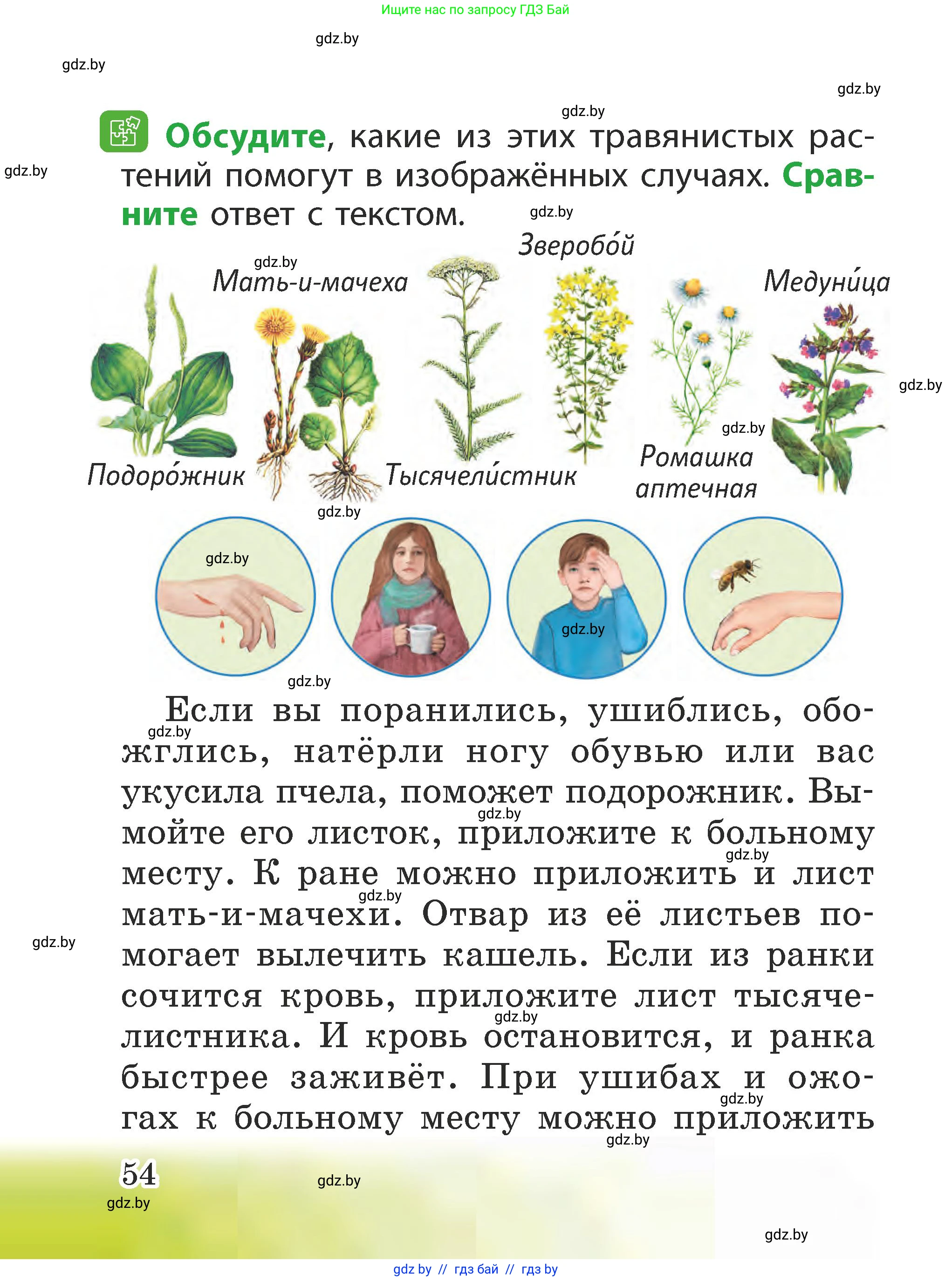 Человек и мир, 2 класс Учебник, авторы: Трафимова Галина Владимировна, Трафимов Сергей Анатольевич, издательство Академия образования, Минск, 2024, страница 54