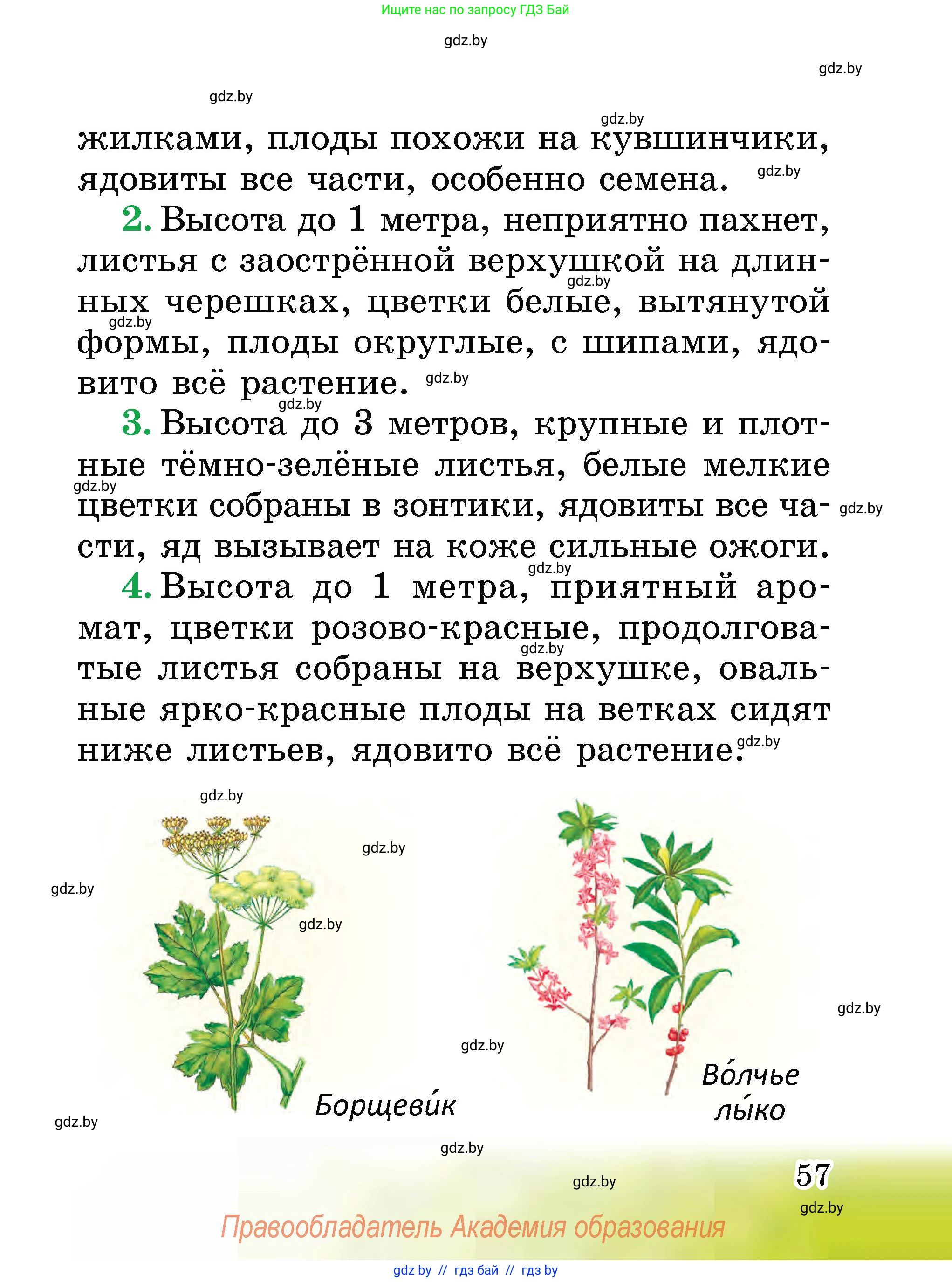 Человек и мир, 2 класс Учебник, авторы: Трафимова Галина Владимировна, Трафимов Сергей Анатольевич, издательство Академия образования, Минск, 2024, страница 57