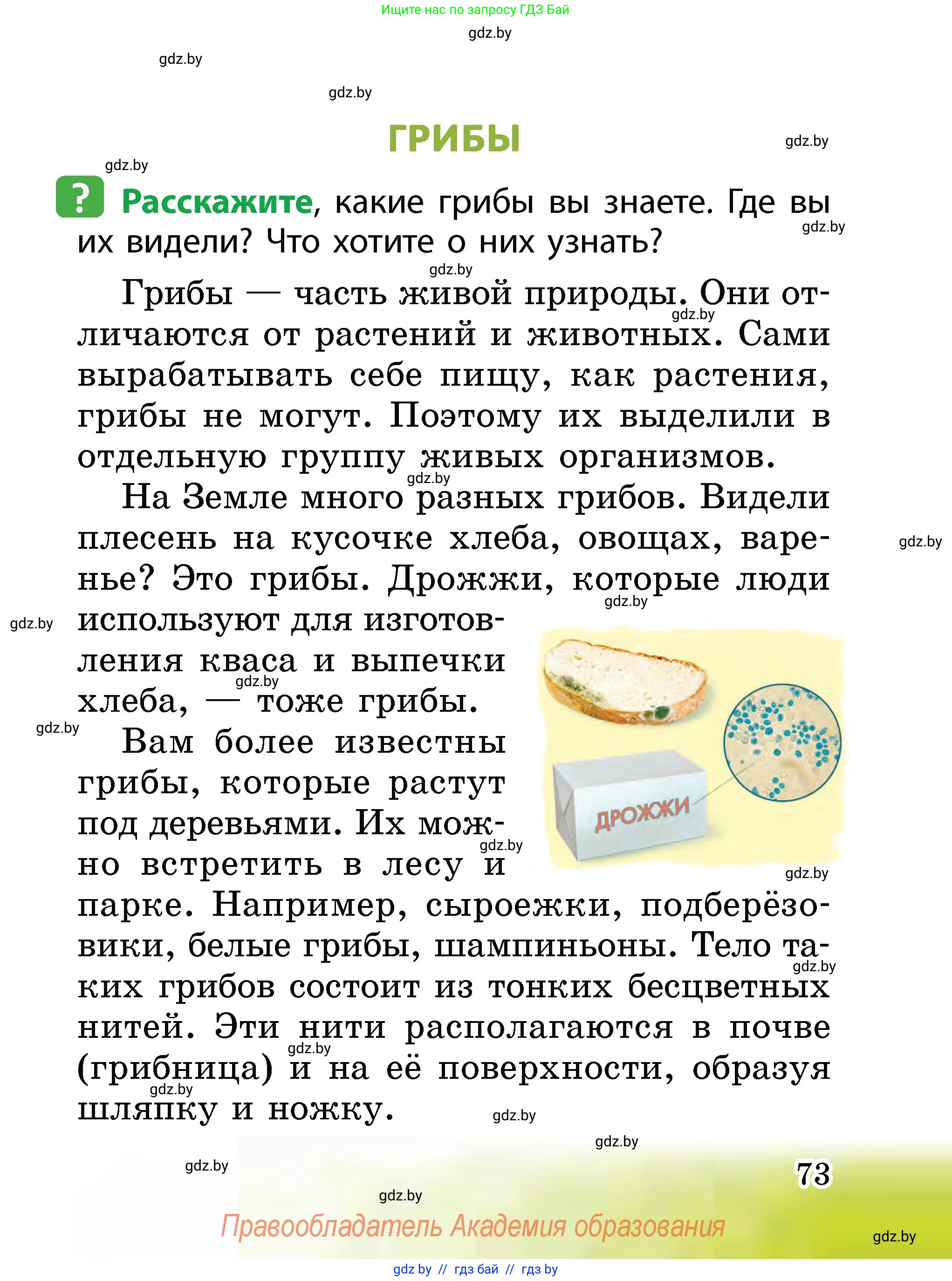 Человек и мир, 2 класс Учебник, авторы: Трафимова Галина Владимировна, Трафимов Сергей Анатольевич, издательство Академия образования, Минск, 2024, страница 73