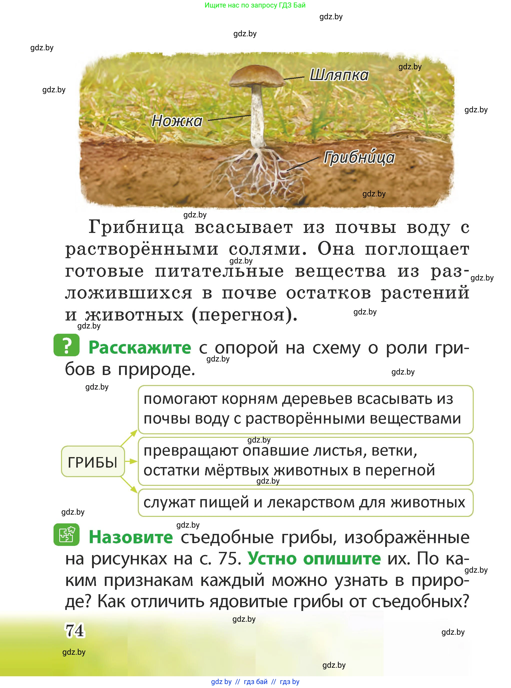 Человек и мир, 2 класс Учебник, авторы: Трафимова Галина Владимировна, Трафимов Сергей Анатольевич, издательство Академия образования, Минск, 2024, страница 74