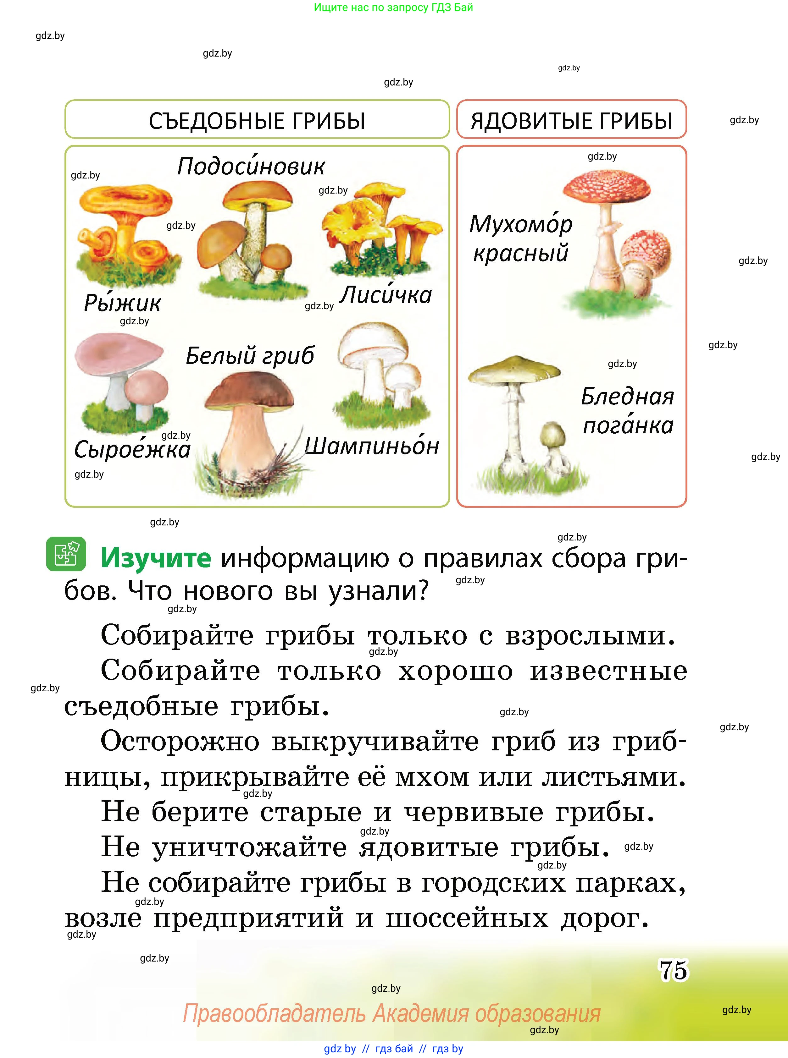 Человек и мир, 2 класс Учебник, авторы: Трафимова Галина Владимировна, Трафимов Сергей Анатольевич, издательство Академия образования, Минск, 2024, страница 75