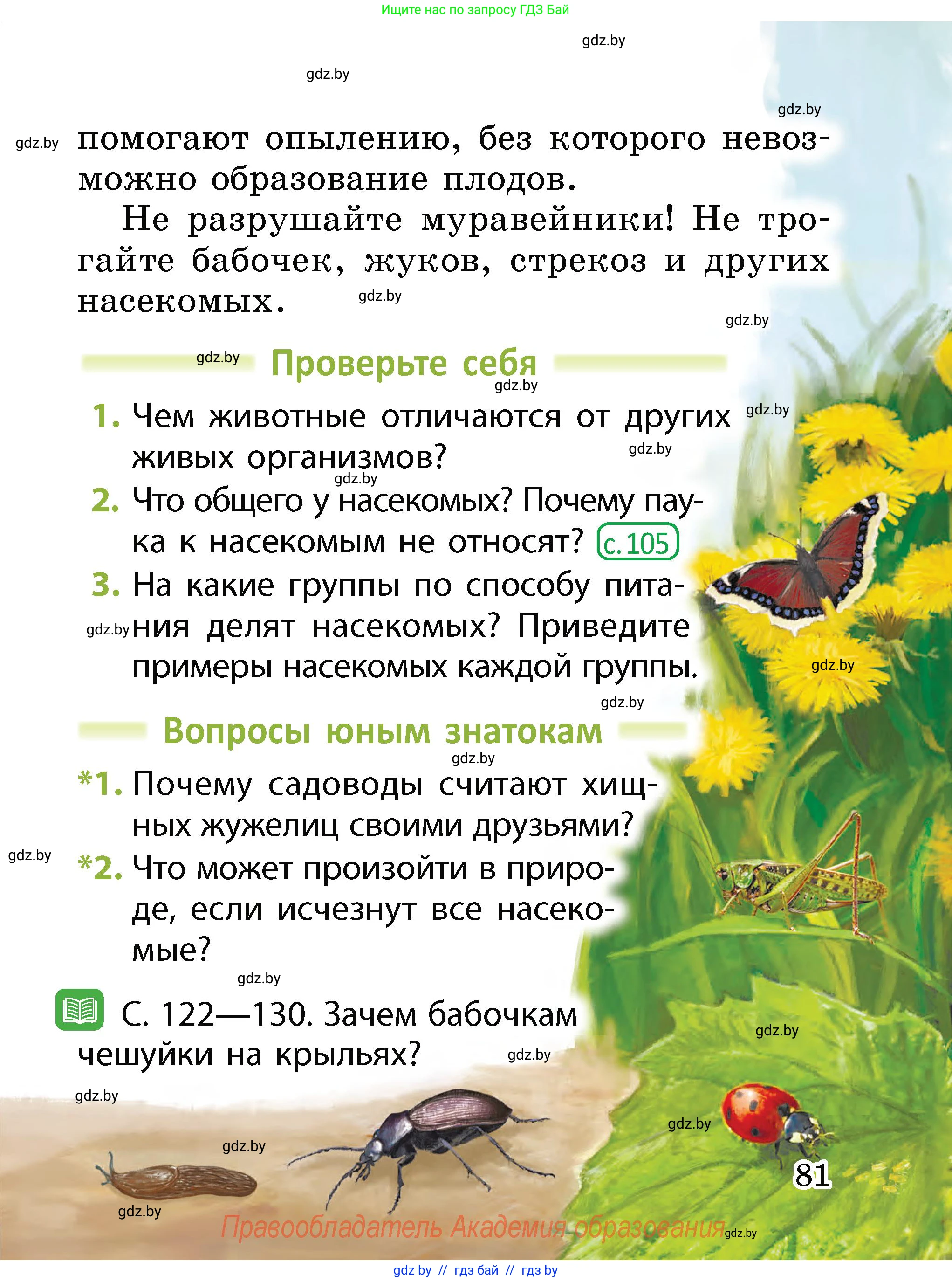 Человек и мир, 2 класс Учебник, авторы: Трафимова Галина Владимировна, Трафимов Сергей Анатольевич, издательство Академия образования, Минск, 2024, страница 81