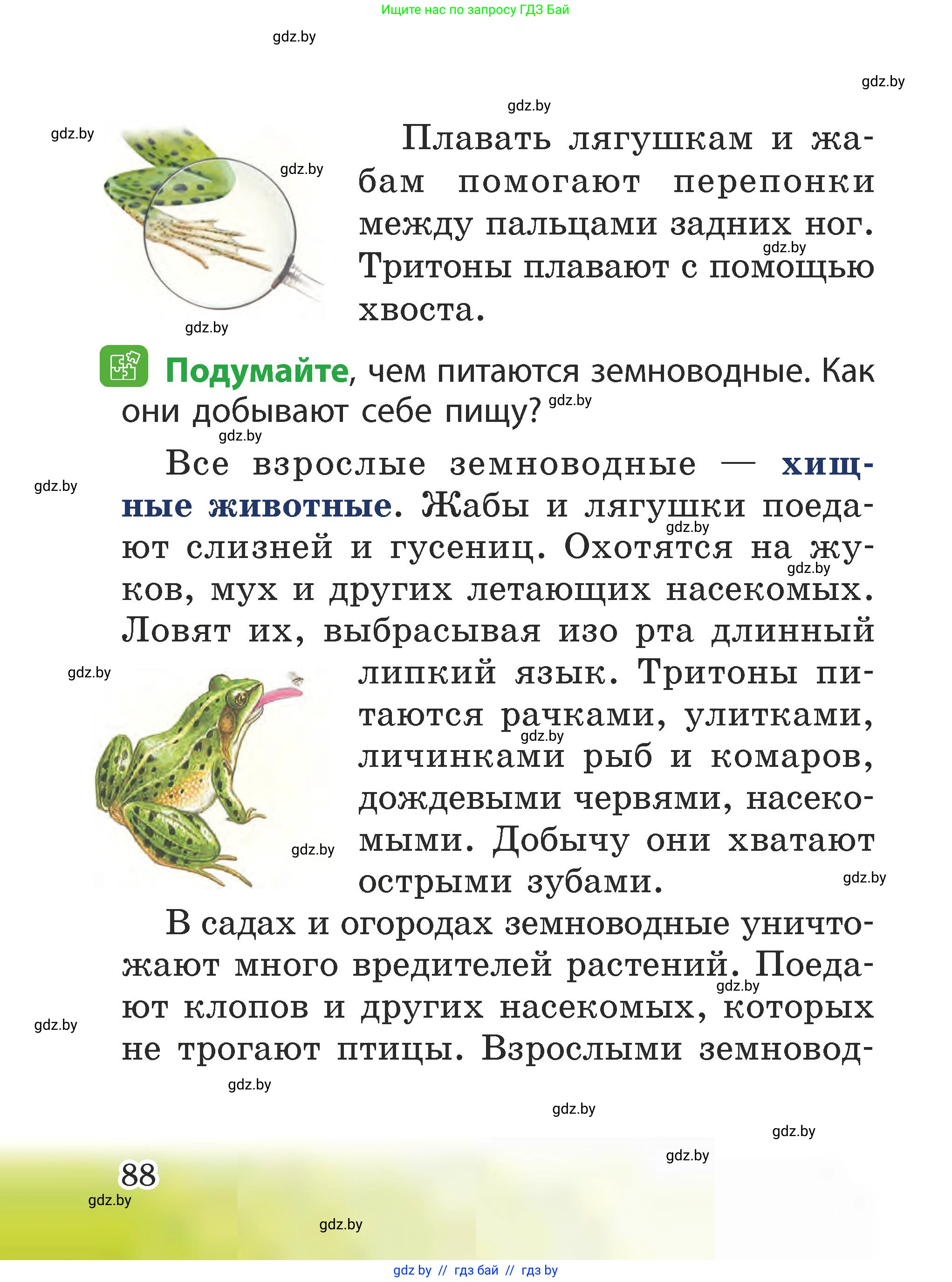 Человек и мир, 2 класс Учебник, авторы: Трафимова Галина Владимировна, Трафимов Сергей Анатольевич, издательство Академия образования, Минск, 2024, страница 88