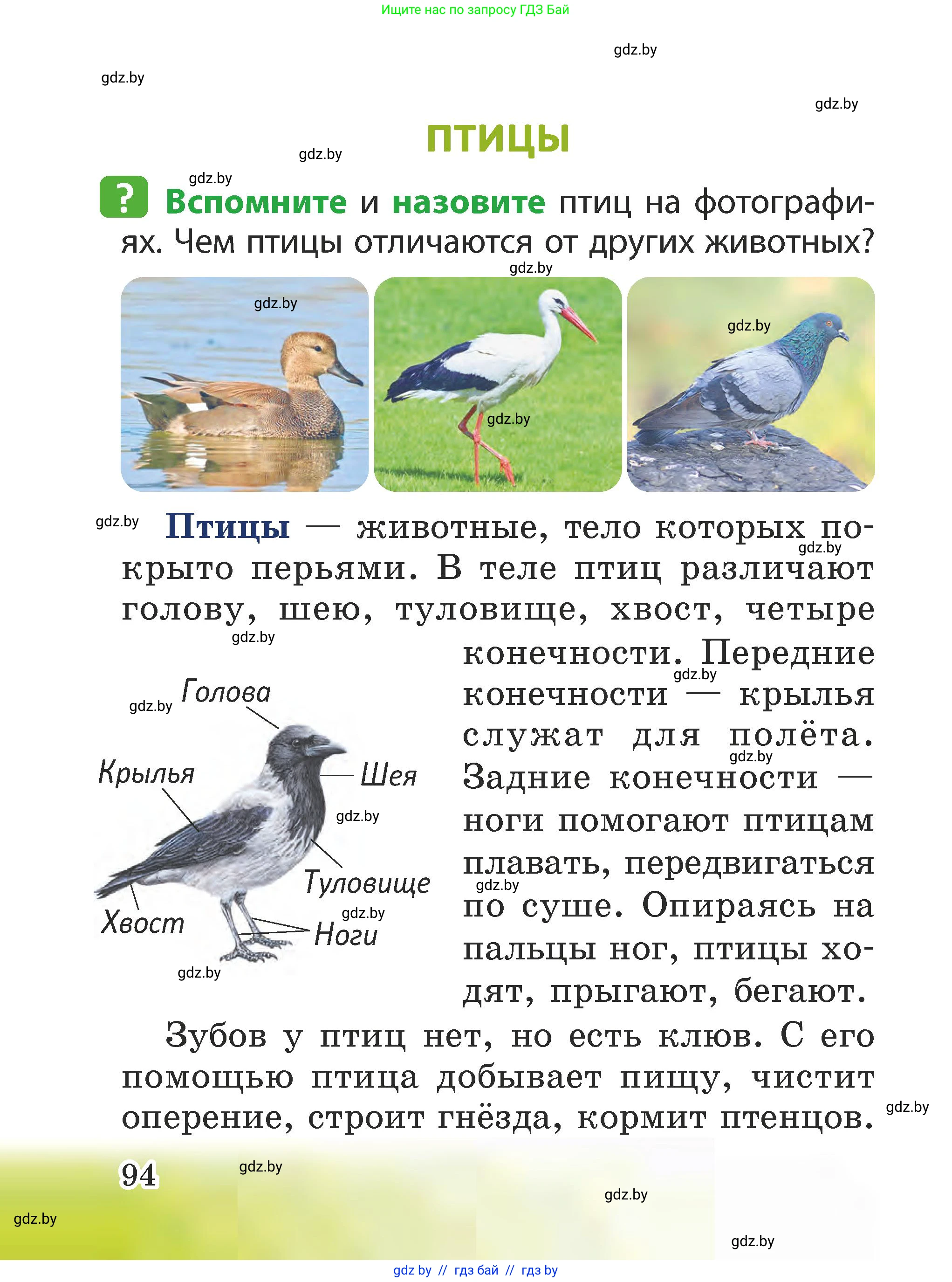 Человек и мир, 2 класс Учебник, авторы: Трафимова Галина Владимировна, Трафимов Сергей Анатольевич, издательство Академия образования, Минск, 2024, страница 94