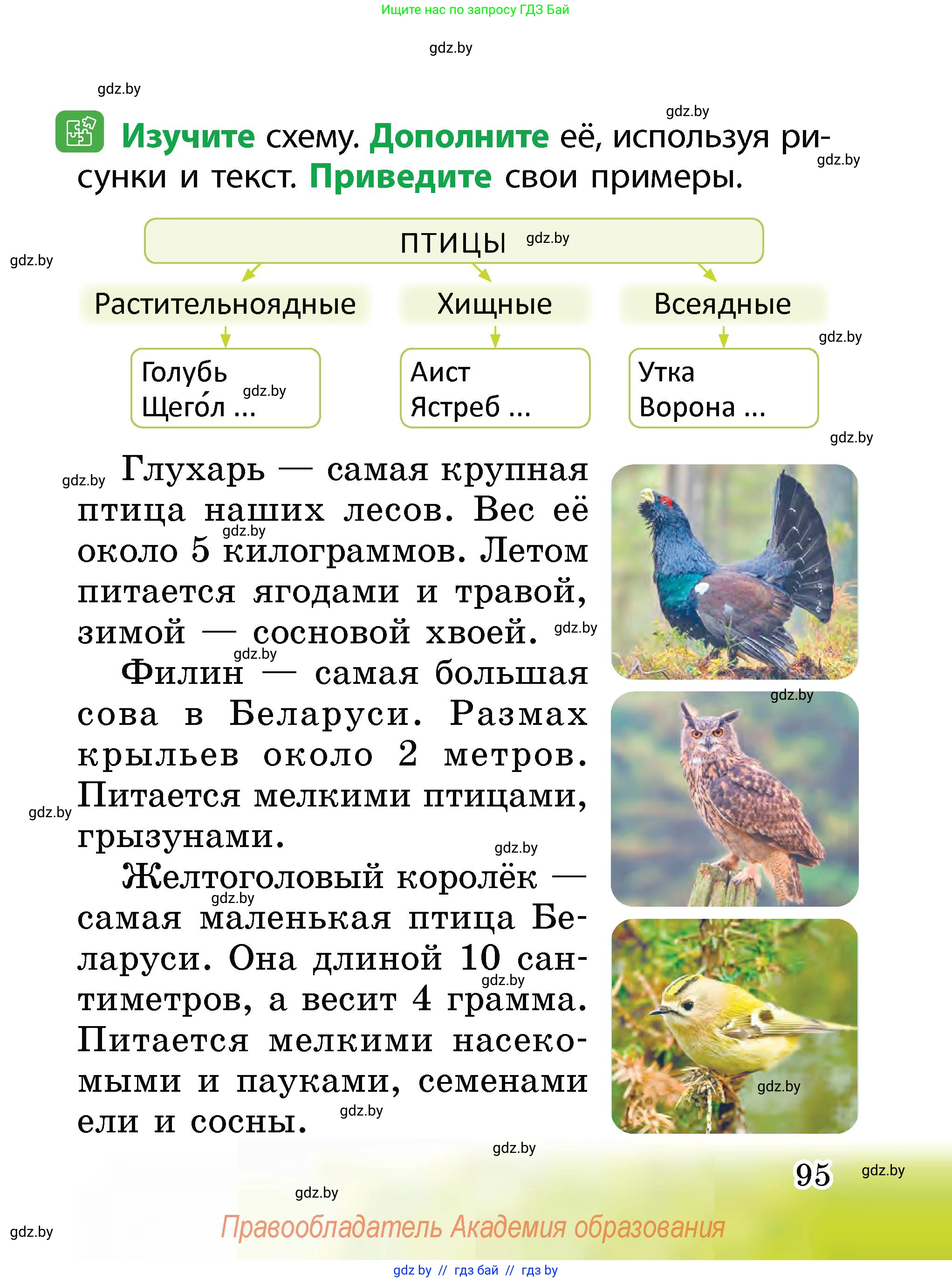 Человек и мир, 2 класс Учебник, авторы: Трафимова Галина Владимировна, Трафимов Сергей Анатольевич, издательство Академия образования, Минск, 2024, страница 95