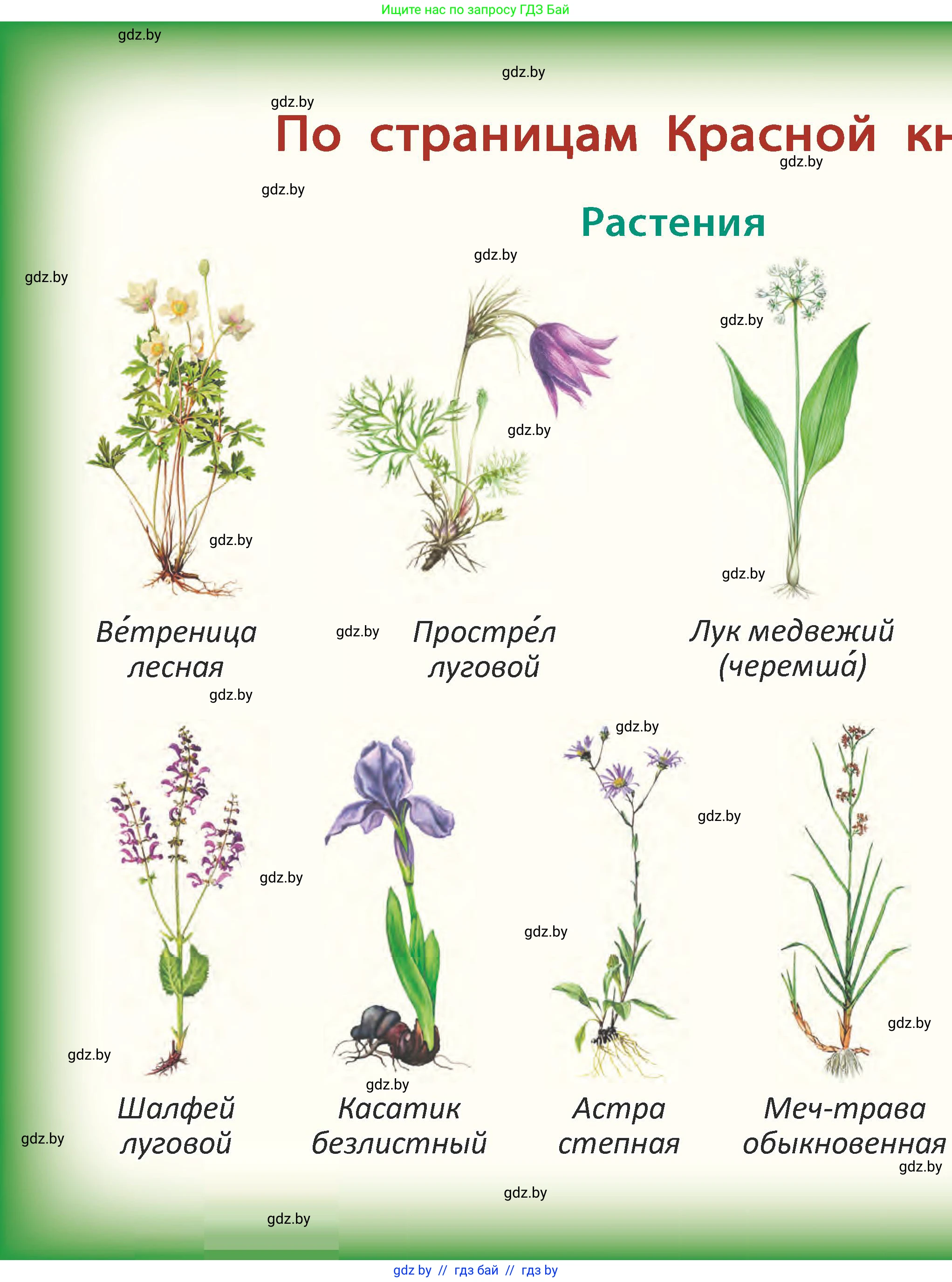 Человек и мир, 2 класс Учебник, авторы: Трафимова Галина Владимировна, Трафимов Сергей Анатольевич, издательство Академия образования, Минск, 2024, 