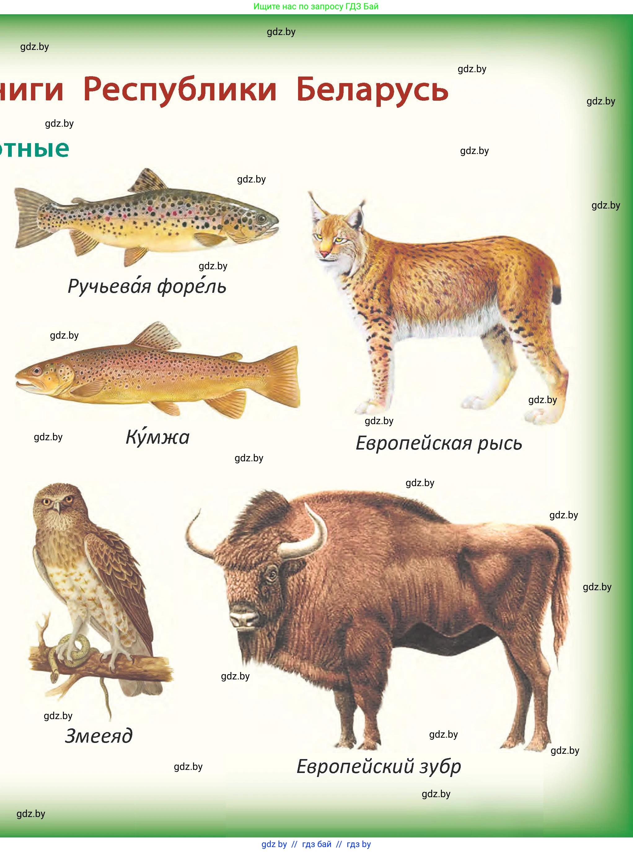 Человек и мир, 2 класс Учебник, авторы: Трафимова Галина Владимировна, Трафимов Сергей Анатольевич, издательство Академия образования, Минск, 2024, 