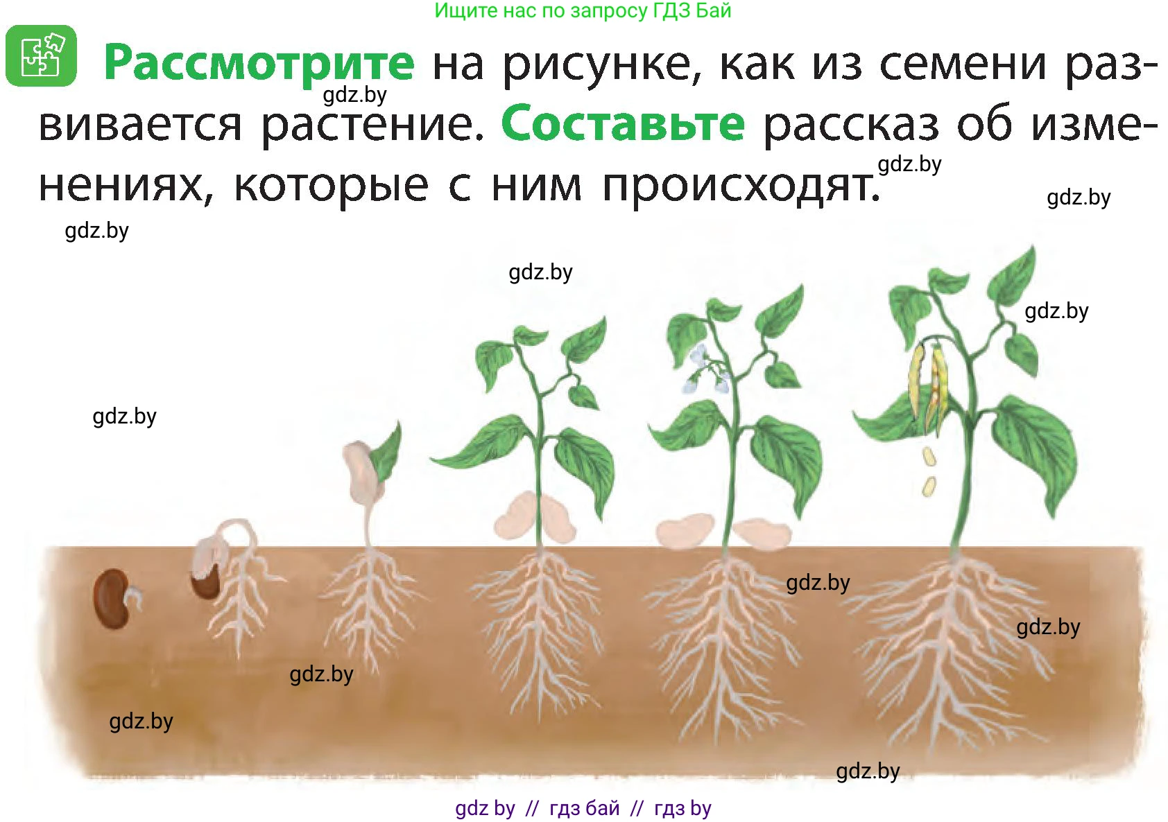 Человек и мир, 2 класс Учебник, авторы: Трафимова Галина Владимировна, Трафимов Сергей Анатольевич, издательство Академия образования, Минск, 2024, страница 43, номер 5, Условие