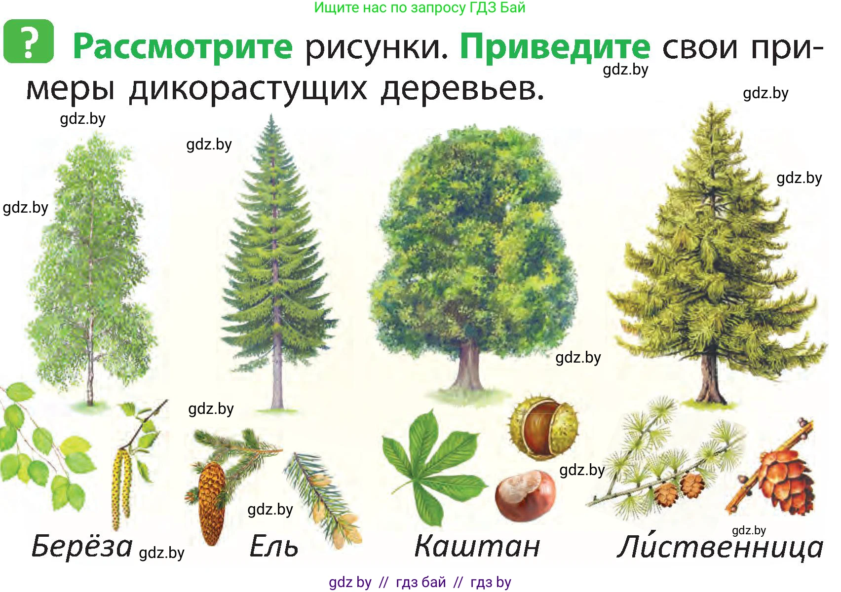 Человек и мир, 2 класс Учебник, авторы: Трафимова Галина Владимировна, Трафимов Сергей Анатольевич, издательство Академия образования, Минск, 2024, страница 44, номер 2, Условие
