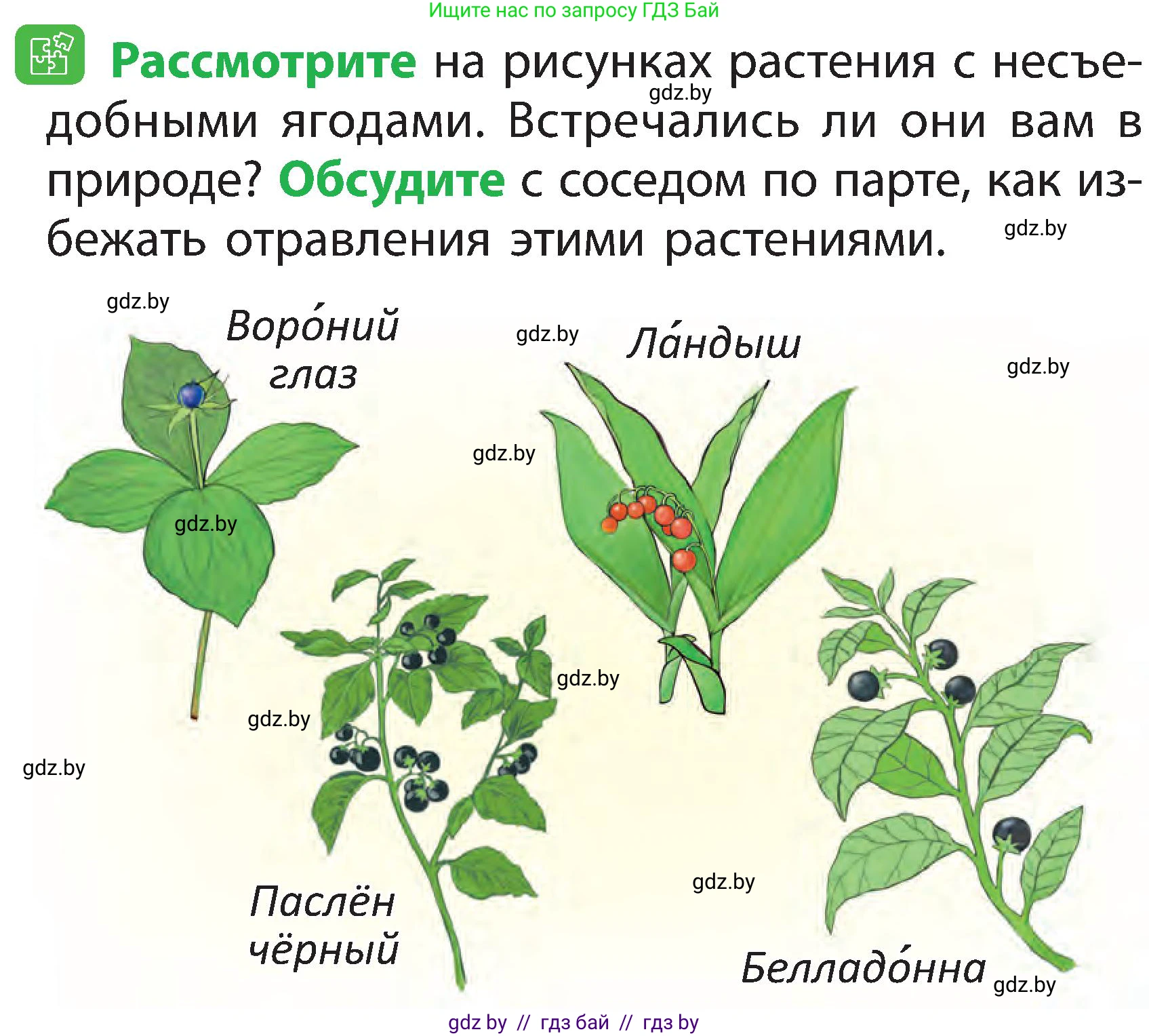 Человек и мир, 2 класс Учебник, авторы: Трафимова Галина Владимировна, Трафимов Сергей Анатольевич, издательство Академия образования, Минск, 2024, страница 58, номер 3, Условие