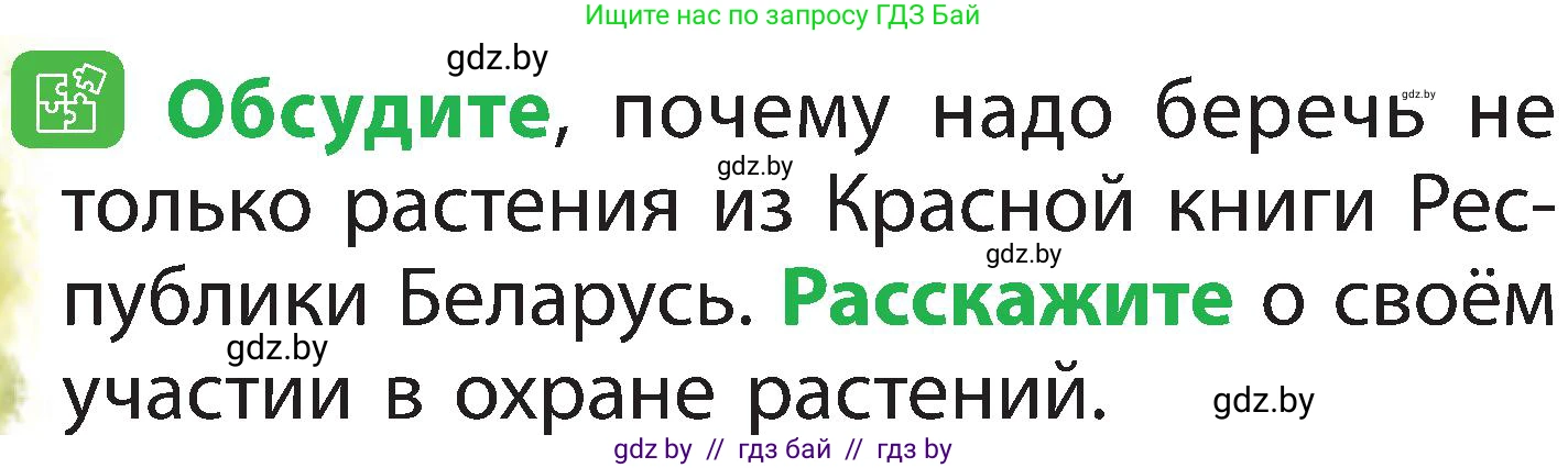 Человек и мир, 2 класс Учебник, авторы: Трафимова Галина Владимировна, Трафимов Сергей Анатольевич, издательство Академия образования, Минск, 2024, страница 62, номер 4, Условие