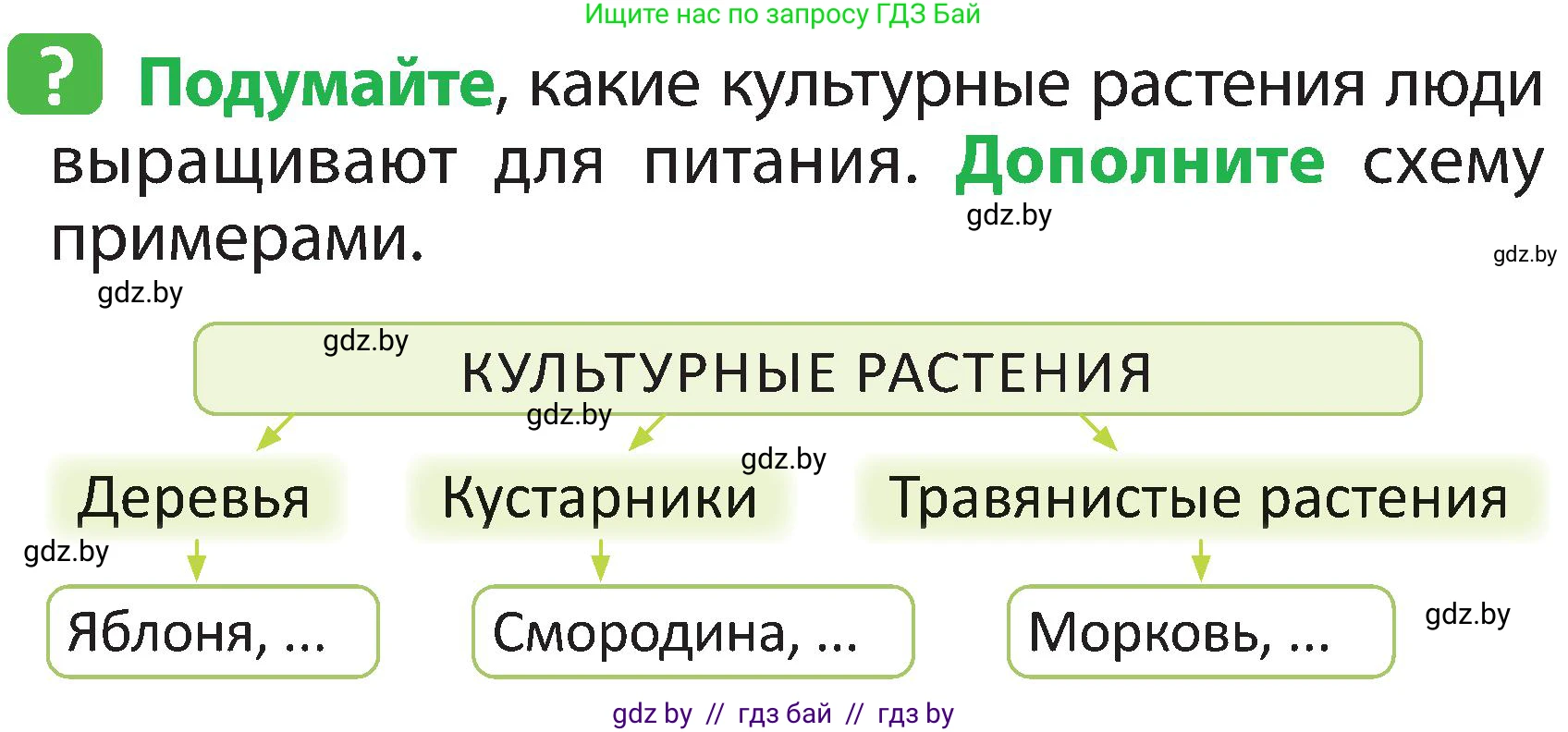 Человек и мир, 2 класс Учебник, авторы: Трафимова Галина Владимировна, Трафимов Сергей Анатольевич, издательство Академия образования, Минск, 2024, страница 65, номер 2, Условие
