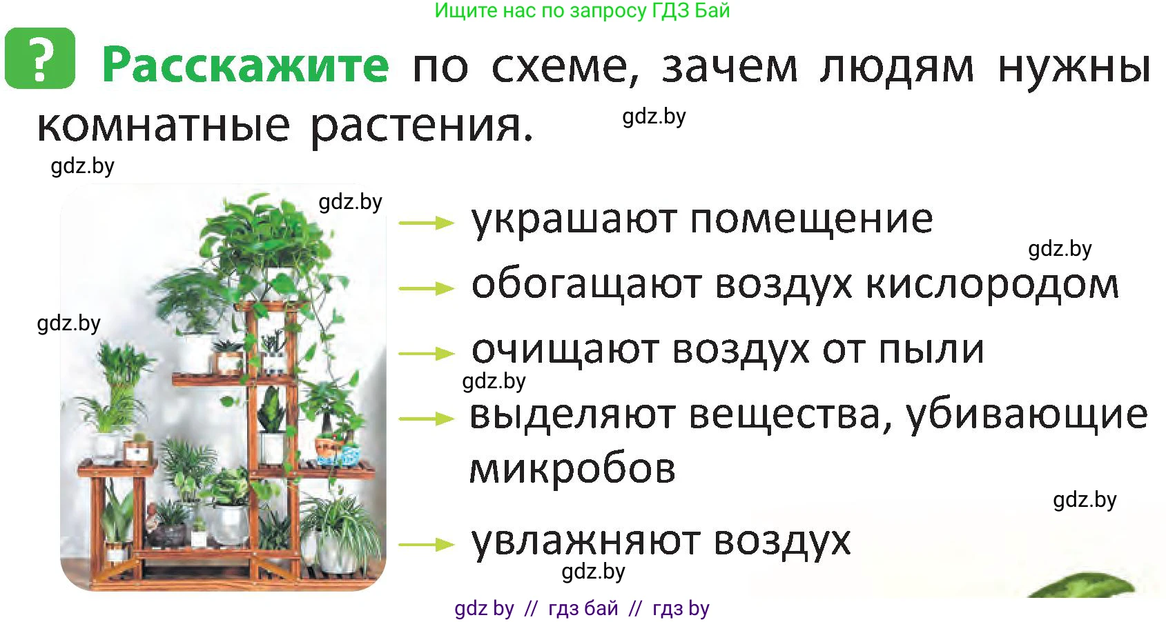 Человек и мир, 2 класс Учебник, авторы: Трафимова Галина Владимировна, Трафимов Сергей Анатольевич, издательство Академия образования, Минск, 2024, страница 70, номер 3, Условие
