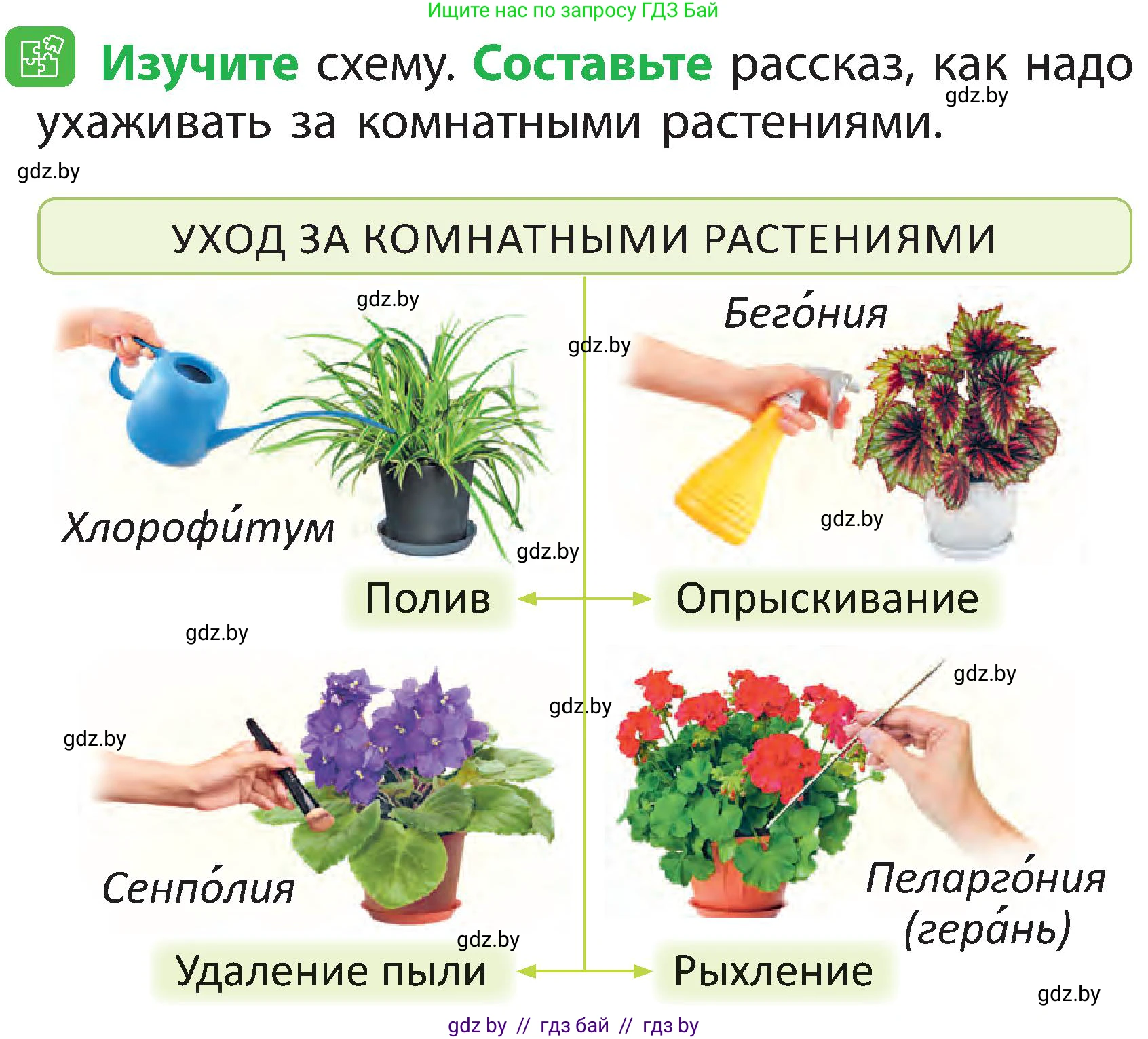 Человек и мир, 2 класс Учебник, авторы: Трафимова Галина Владимировна, Трафимов Сергей Анатольевич, издательство Академия образования, Минск, 2024, страница 71, номер 6, Условие