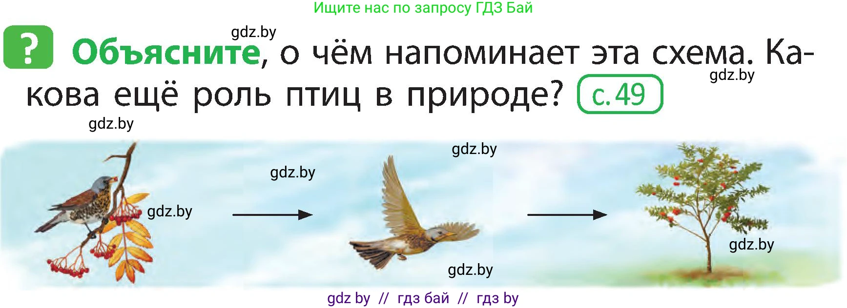 Человек и мир, 2 класс Учебник, авторы: Трафимова Галина Владимировна, Трафимов Сергей Анатольевич, издательство Академия образования, Минск, 2024, страница 96, номер 3, Условие