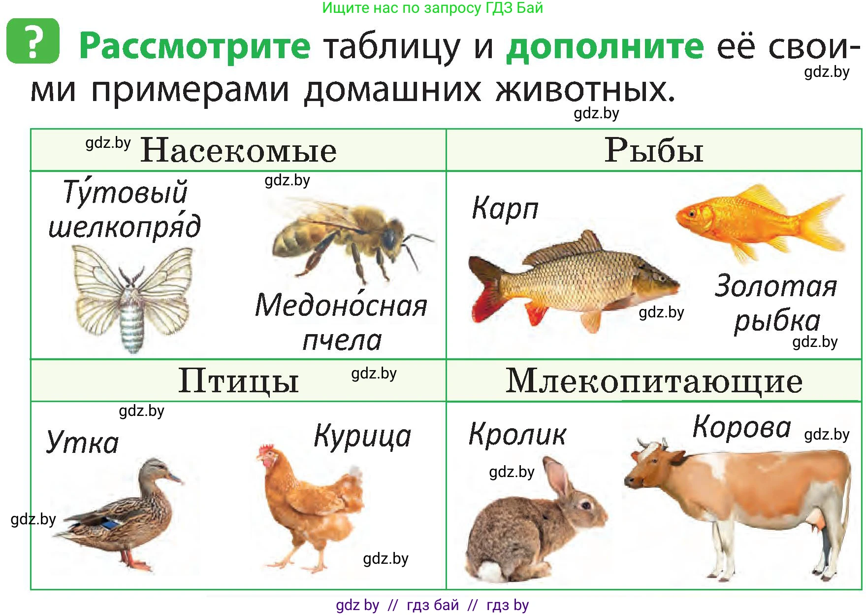 Человек и мир, 2 класс Учебник, авторы: Трафимова Галина Владимировна, Трафимов Сергей Анатольевич, издательство Академия образования, Минск, 2024, страница 103, номер 2, Условие