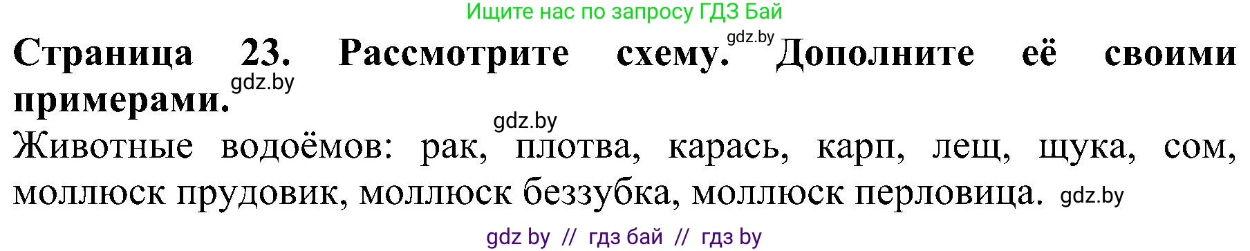 Человек и мир, 2 класс Учебник, авторы: Трафимова Галина Владимировна, Трафимов Сергей Анатольевич, издательство Академия образования, Минск, 2024, страница 23, номер 2, Решение