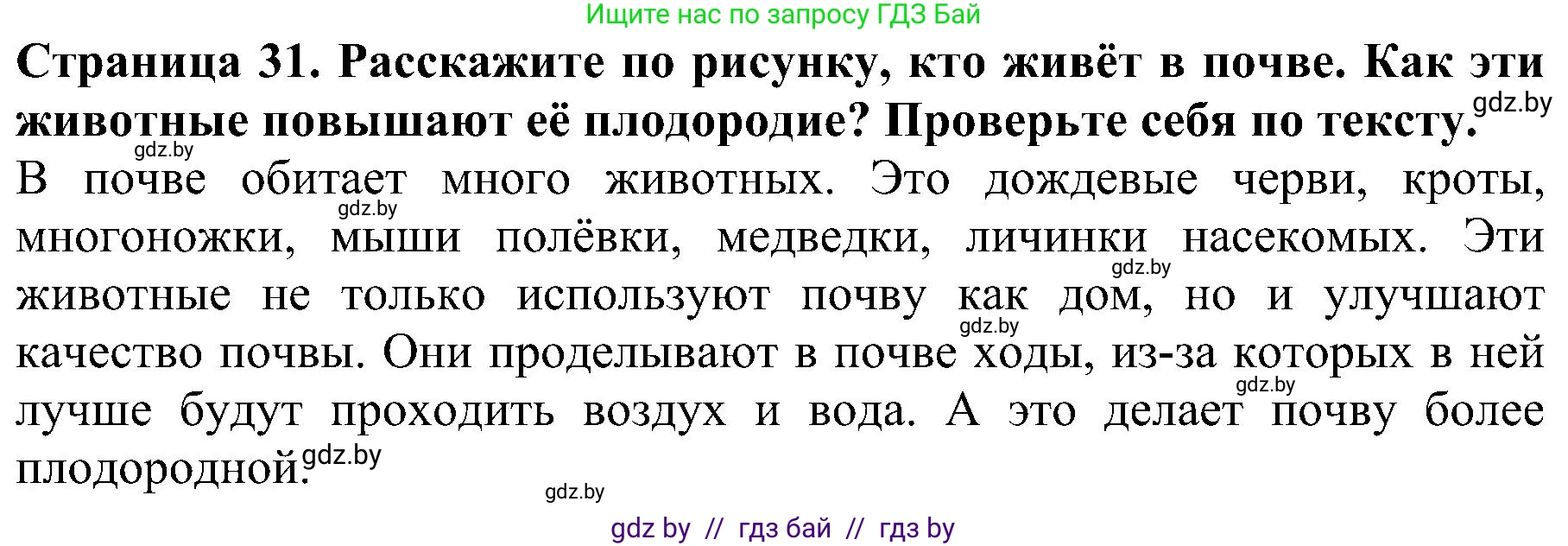 Человек и мир, 2 класс Учебник, авторы: Трафимова Галина Владимировна, Трафимов Сергей Анатольевич, издательство Академия образования, Минск, 2024, страница 31, номер 2, Решение