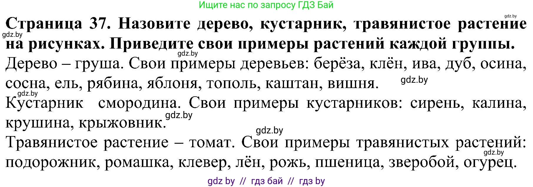 Человек и мир, 2 класс Учебник, авторы: Трафимова Галина Владимировна, Трафимов Сергей Анатольевич, издательство Академия образования, Минск, 2024, страница 37, номер 2, Решение