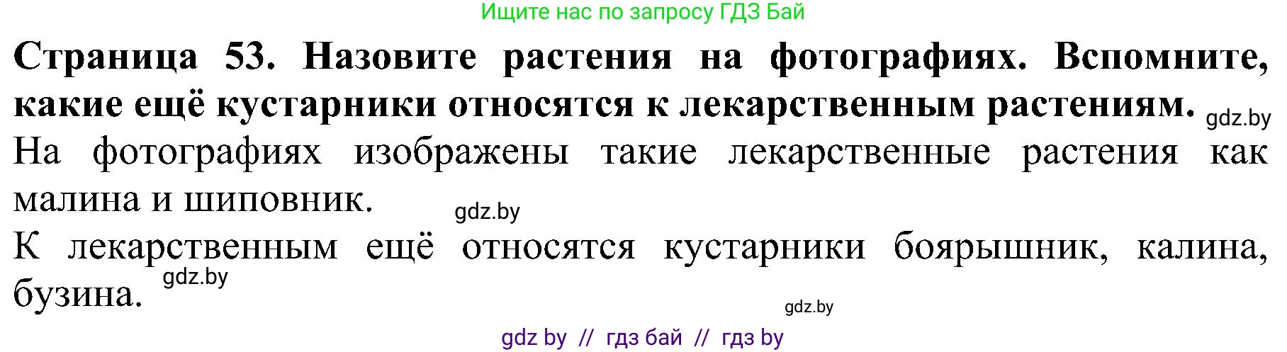 Человек и мир, 2 класс Учебник, авторы: Трафимова Галина Владимировна, Трафимов Сергей Анатольевич, издательство Академия образования, Минск, 2024, страница 53, номер 2, Решение