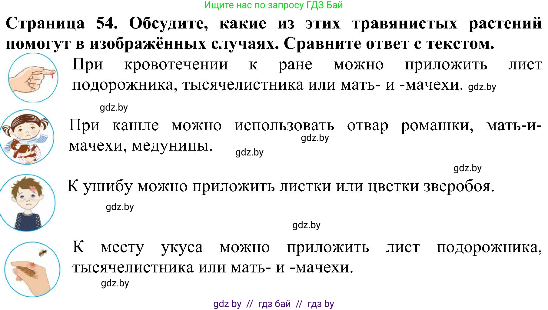 Человек и мир, 2 класс Учебник, авторы: Трафимова Галина Владимировна, Трафимов Сергей Анатольевич, издательство Академия образования, Минск, 2024, страница 54, номер 3, Решение