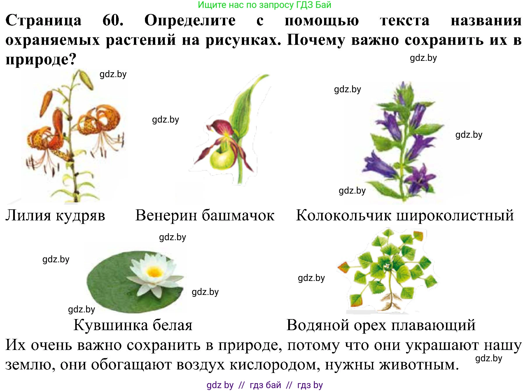 Человек и мир, 2 класс Учебник, авторы: Трафимова Галина Владимировна, Трафимов Сергей Анатольевич, издательство Академия образования, Минск, 2024, страница 60, номер 2, Решение