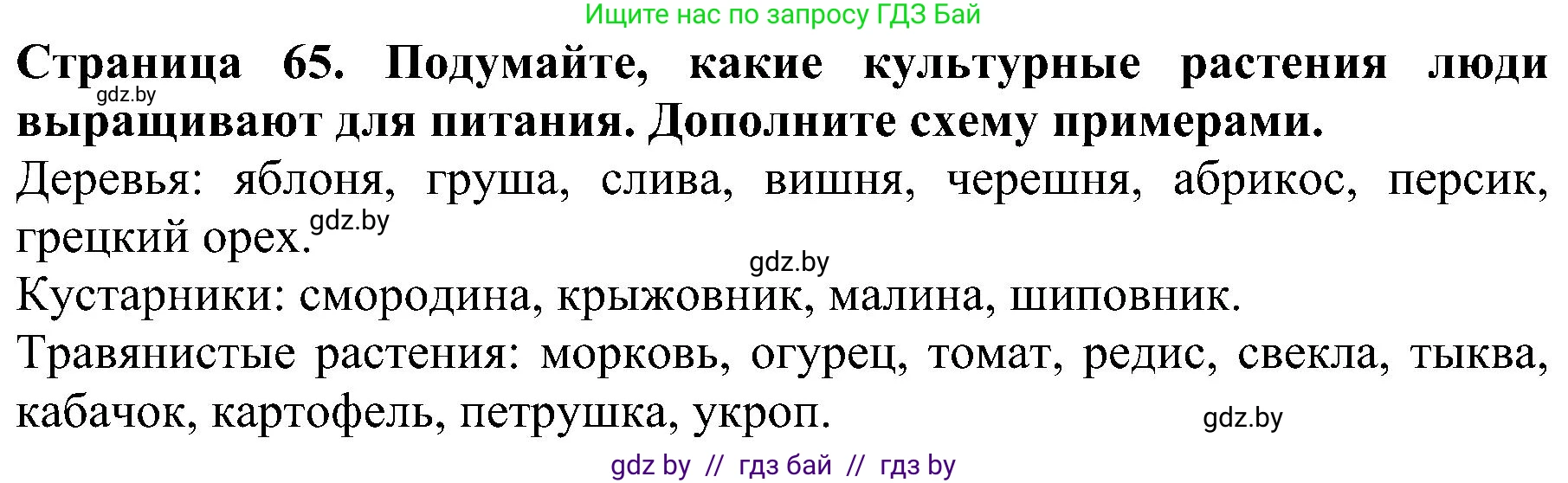 Человек и мир, 2 класс Учебник, авторы: Трафимова Галина Владимировна, Трафимов Сергей Анатольевич, издательство Академия образования, Минск, 2024, страница 65, номер 2, Решение