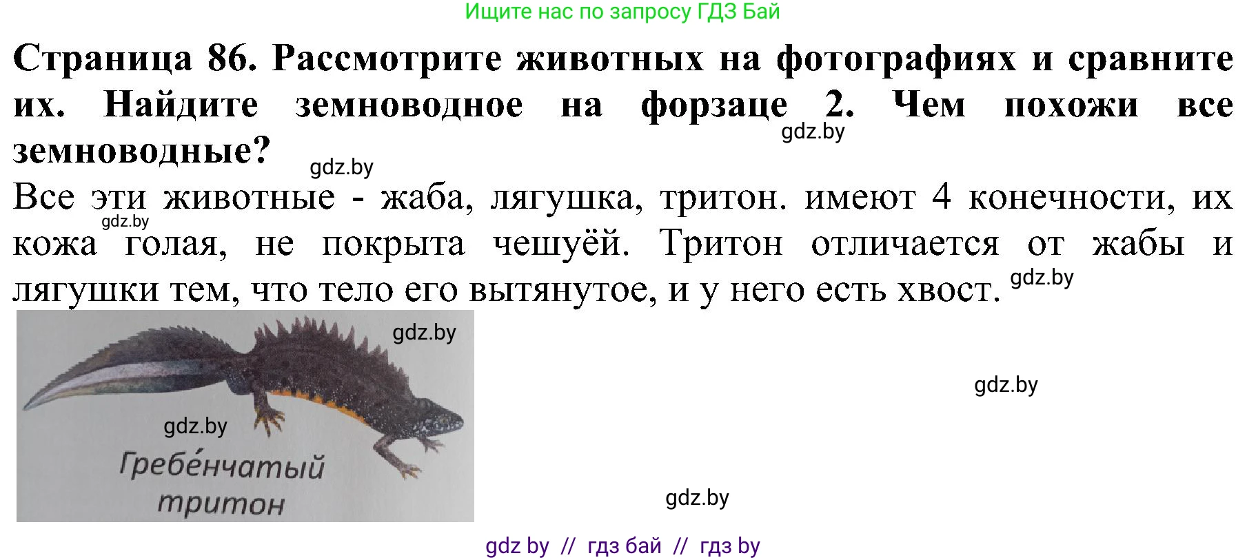 Человек и мир, 2 класс Учебник, авторы: Трафимова Галина Владимировна, Трафимов Сергей Анатольевич, издательство Академия образования, Минск, 2024, страница 86, номер 2, Решение