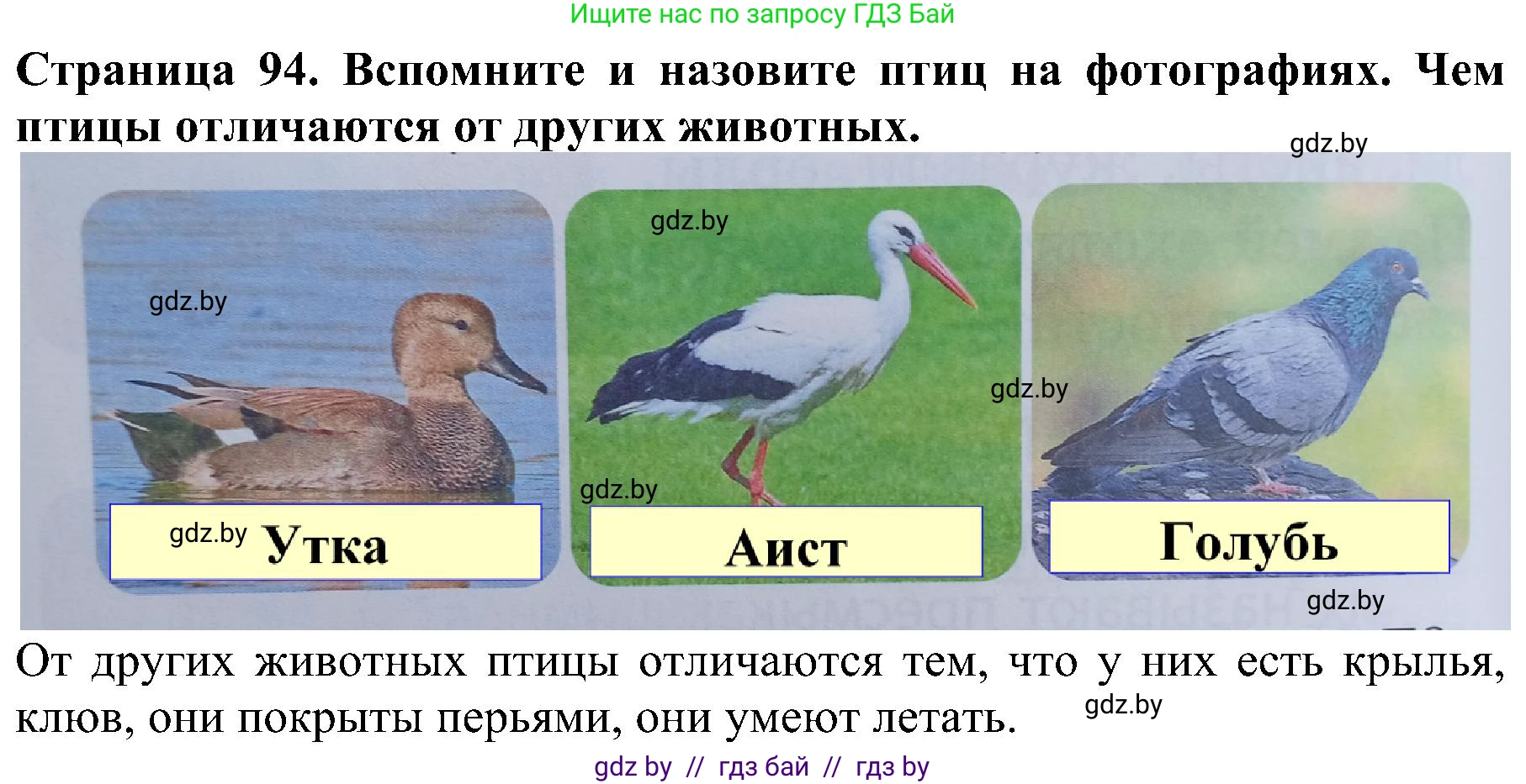 Человек и мир, 2 класс Учебник, авторы: Трафимова Галина Владимировна, Трафимов Сергей Анатольевич, издательство Академия образования, Минск, 2024, страница 94, номер 1, Решение