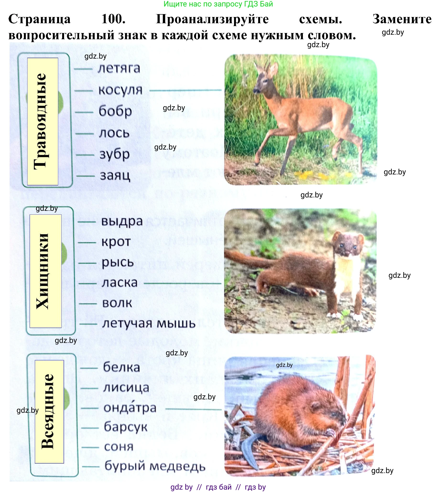 Человек и мир, 2 класс Учебник, авторы: Трафимова Галина Владимировна, Трафимов Сергей Анатольевич, издательство Академия образования, Минск, 2024, страница 100, номер 5, Решение