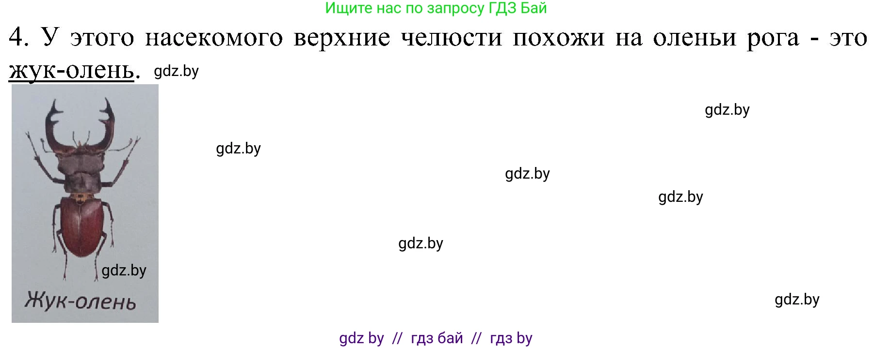 Человек и мир, 2 класс Учебник, авторы: Трафимова Галина Владимировна, Трафимов Сергей Анатольевич, издательство Академия образования, Минск, 2024, страница 109, номер 4, Решение (продолжение 2)