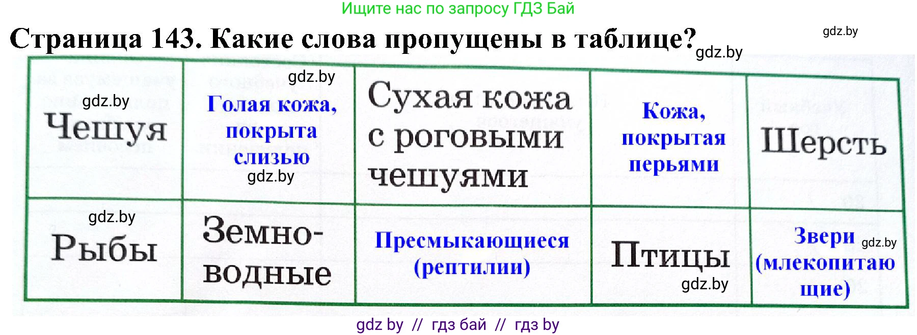 Человек и мир, 2 класс Учебник, авторы: Трафимова Галина Владимировна, Трафимов Сергей Анатольевич, издательство Академия образования, Минск, 2024, страница 143, номер 4, Решение