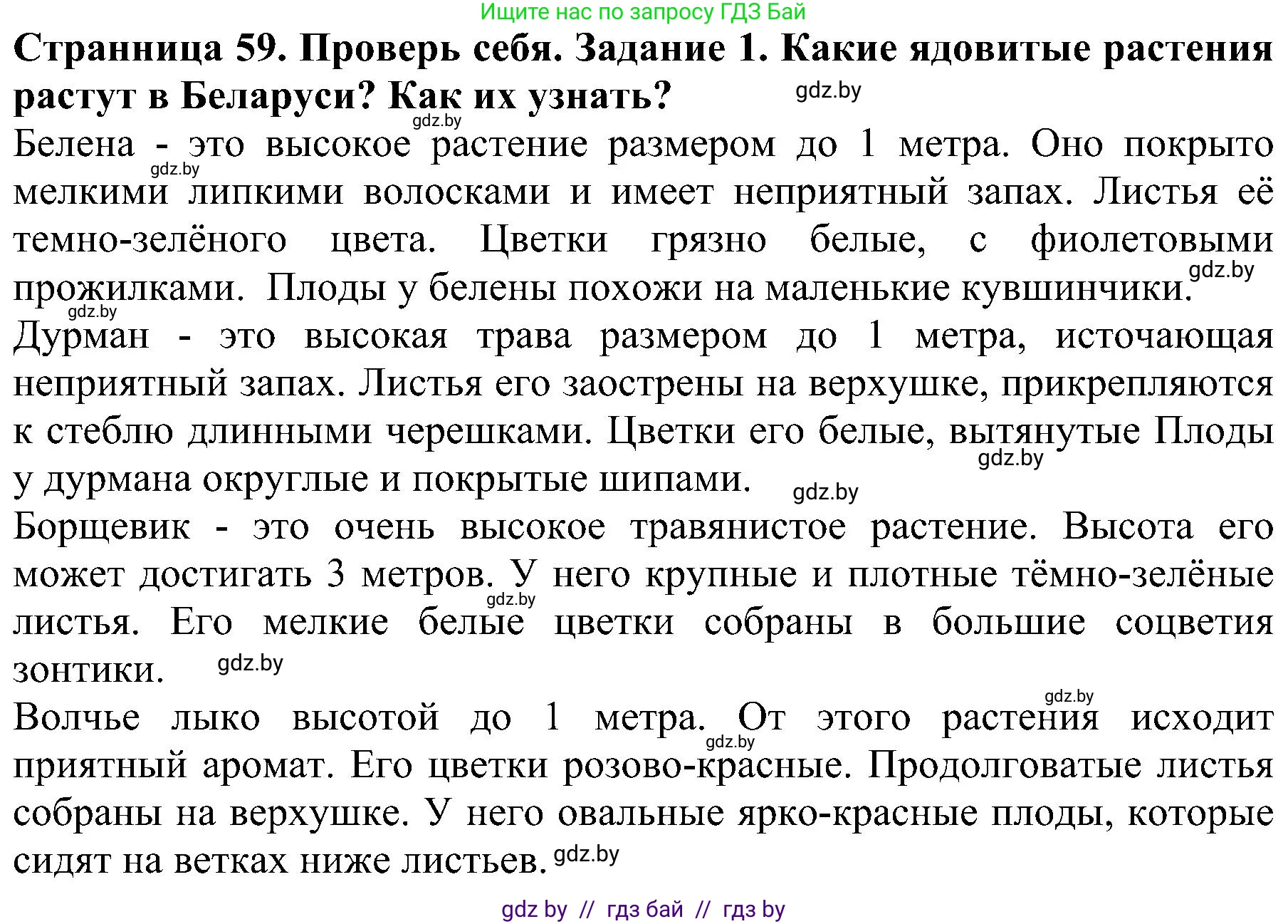 Человек и мир, 2 класс Учебник, авторы: Трафимова Галина Владимировна, Трафимов Сергей Анатольевич, издательство Академия образования, Минск, 2024, страница 59, номер 1, Решение