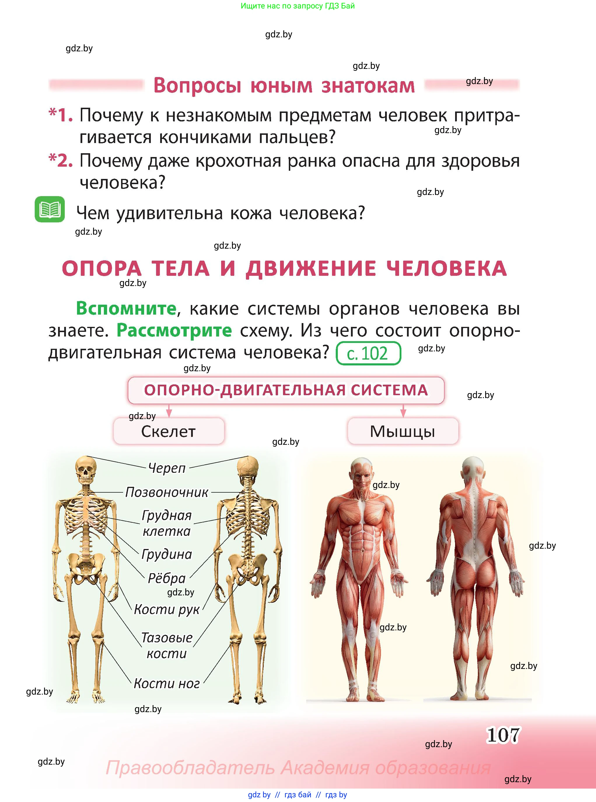 Человек и мир, 3 класс Учебник, авторы: Трафимова Галина Владимировна, Трафимов Сергей Анатольевич, издательство Академия образования, Минск, 2025, голубого цвета, страница 107