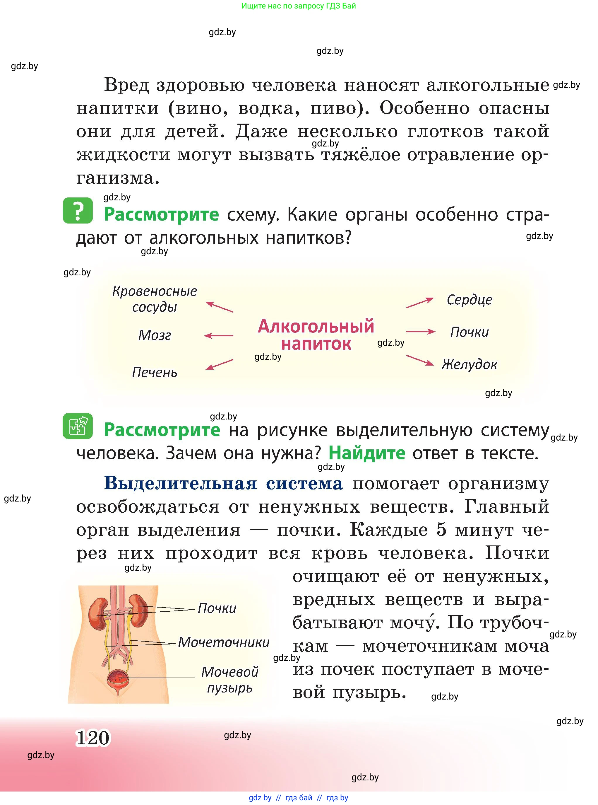 Человек и мир, 3 класс Учебник, авторы: Трафимова Галина Владимировна, Трафимов Сергей Анатольевич, издательство Академия образования, Минск, 2025, голубого цвета, страница 120