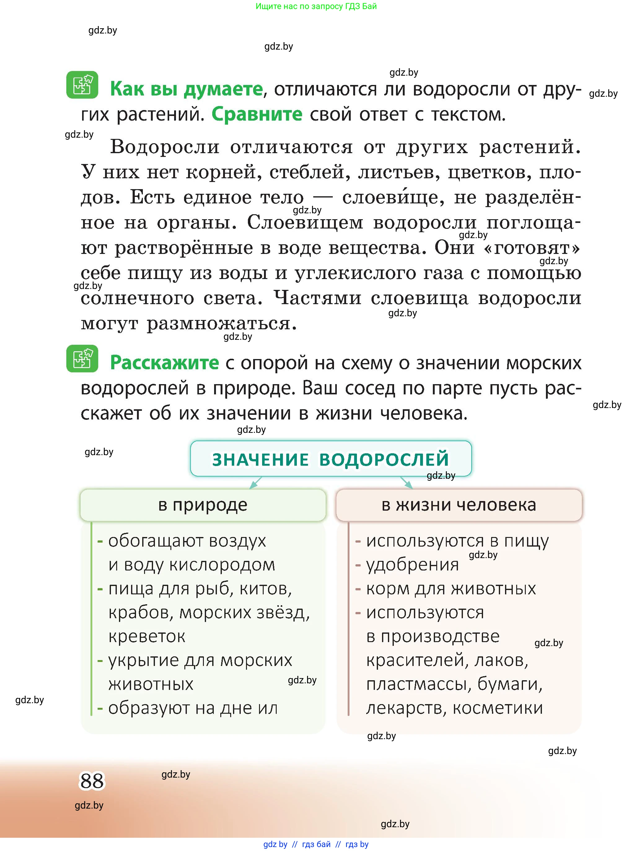 Человек и мир, 3 класс Учебник, авторы: Трафимова Галина Владимировна, Трафимов Сергей Анатольевич, издательство Академия образования, Минск, 2025, голубого цвета, страница 88