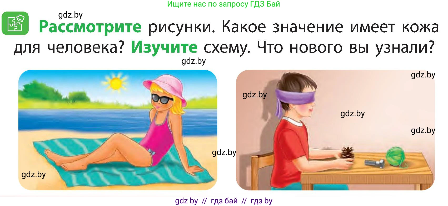 Человек и мир, 3 класс Учебник, авторы: Трафимова Галина Владимировна, Трафимов Сергей Анатольевич, издательство Академия образования, Минск, 2025, голубого цвета, страница 104, Условие