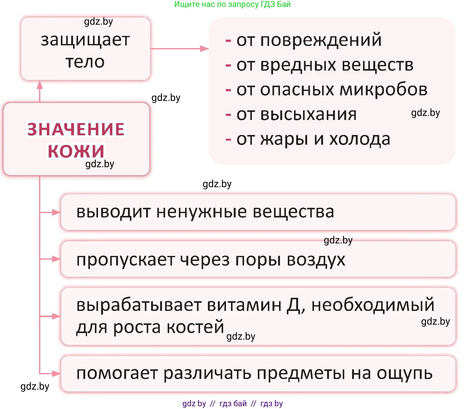 Человек и мир, 3 класс Учебник, авторы: Трафимова Галина Владимировна, Трафимов Сергей Анатольевич, издательство Академия образования, Минск, 2025, голубого цвета, страница 104, Условие (продолжение 2)