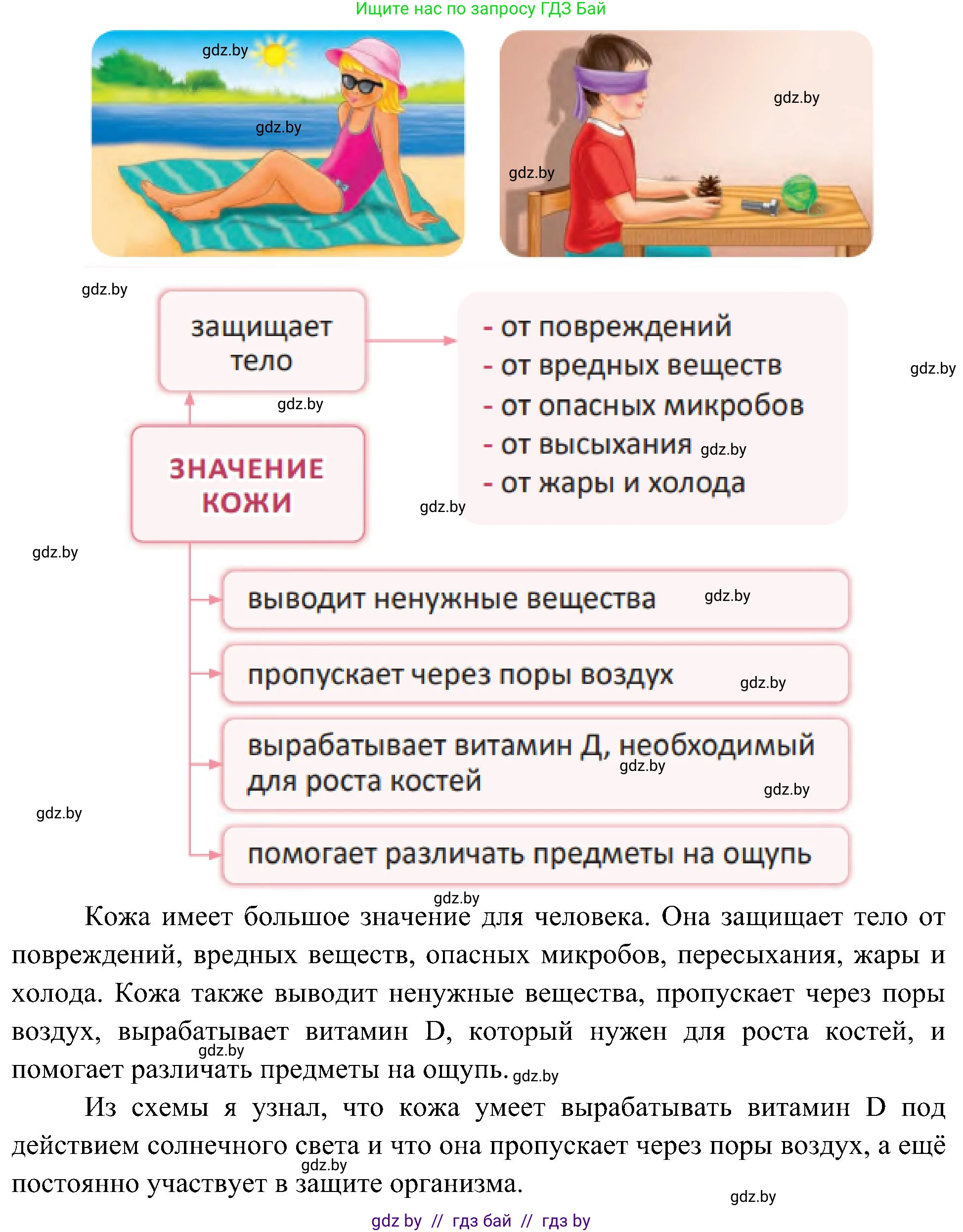 Человек и мир, 3 класс Учебник, авторы: Трафимова Галина Владимировна, Трафимов Сергей Анатольевич, издательство Академия образования, Минск, 2025, голубого цвета, страница 104, Решение (продолжение 2)