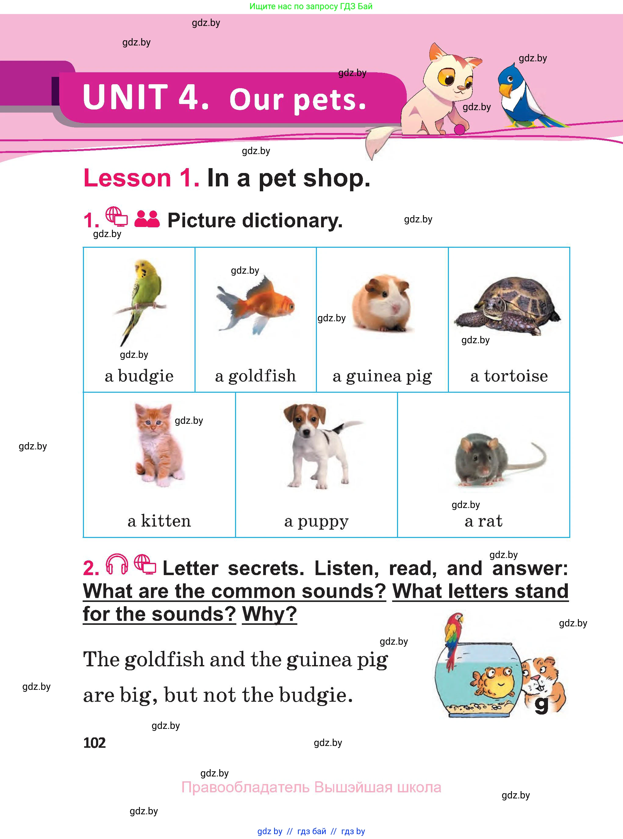 Английский язык (english), 3 класс Учебник, авторы: Лапицкая Людмила Михайловна (Lapitskaya Ludmila), Калишевич Алла Ивановна, Севрюкова Татьяна Юрьевна, Седунова Наталья Михайловна (Sedunova Natalia), издательство Вышэйшая школа, Минск, 2023, Часть 1, страница 102