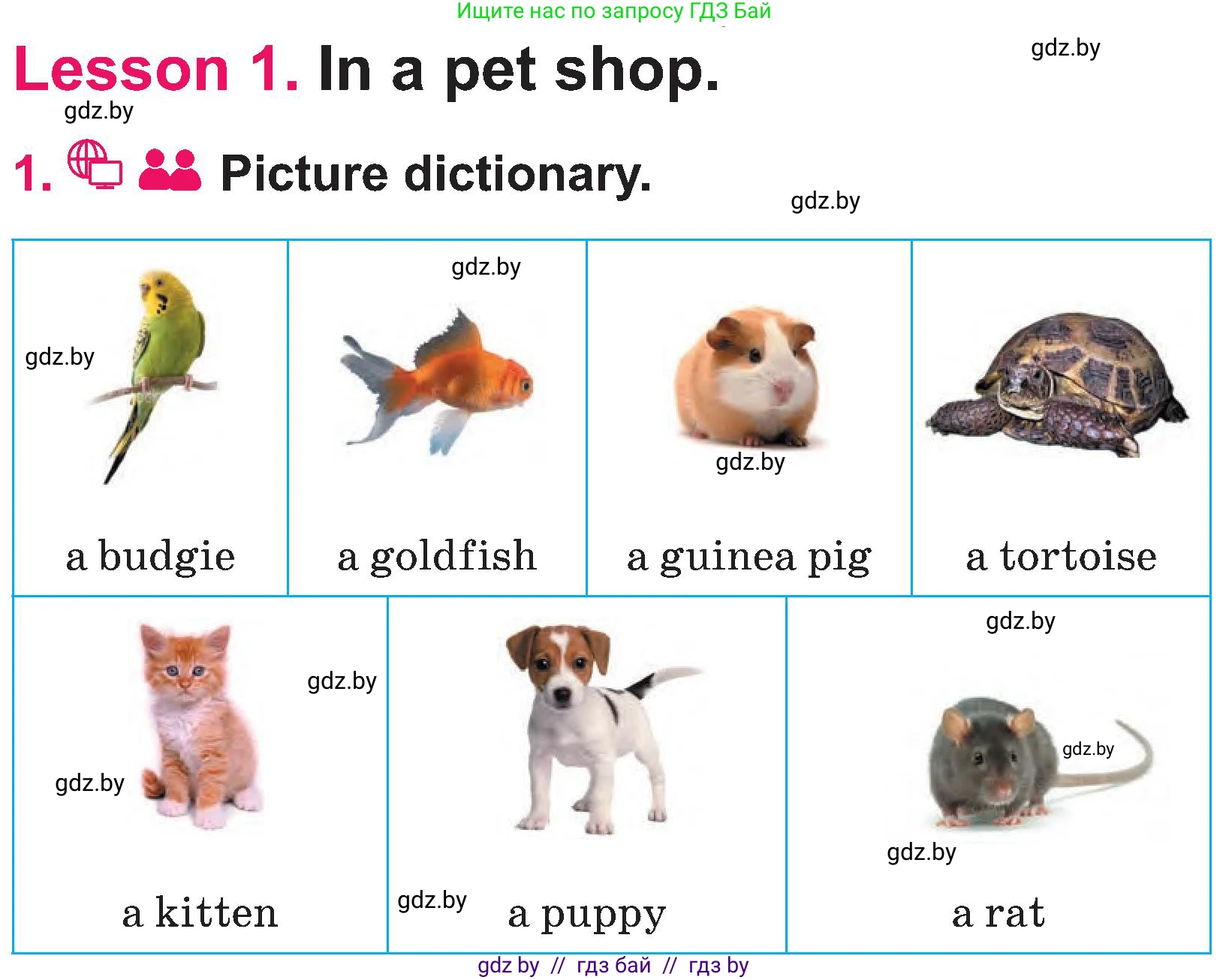 Английский язык (english), 3 класс Учебник, авторы: Лапицкая Людмила Михайловна (Lapitskaya Ludmila), Калишевич Алла Ивановна, Севрюкова Татьяна Юрьевна, Седунова Наталья Михайловна (Sedunova Natalia), издательство Вышэйшая школа, Минск, 2023, Часть 1, страница 102, номер 1, Условие